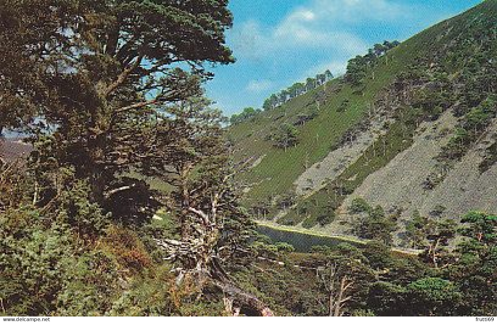 AK 214813 SCOTLAND - The Green Loch - Pass Of Ryvoan In The Cairngorms - Other & Unclassified