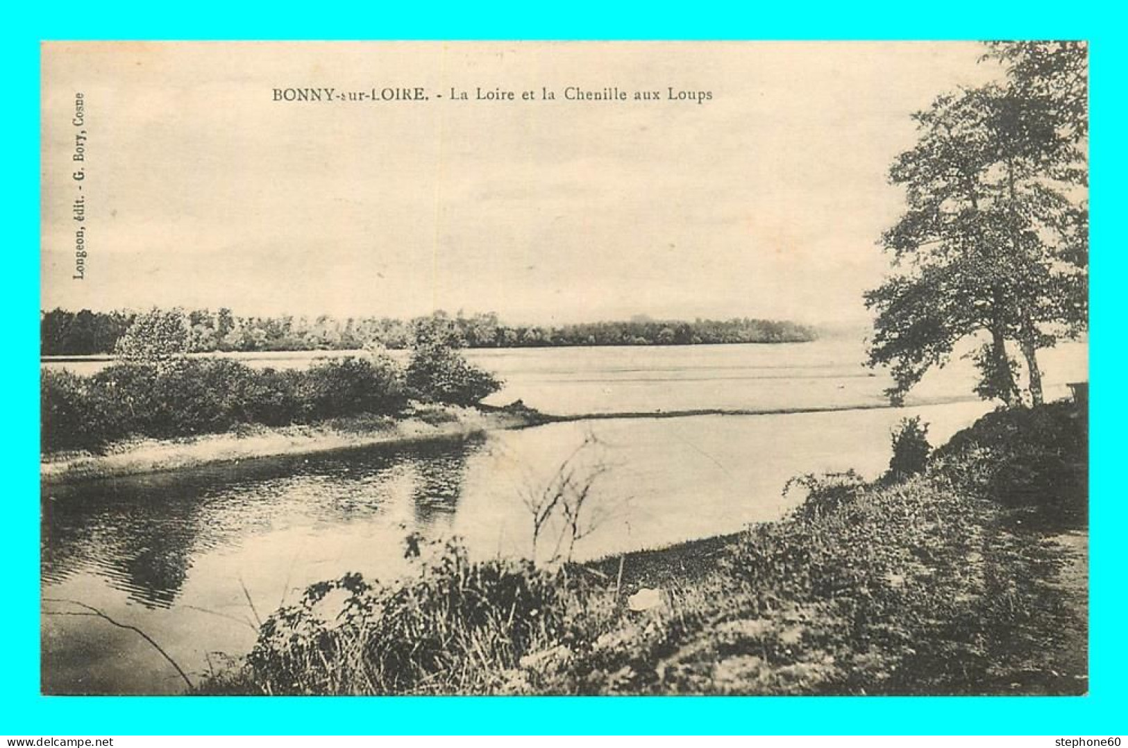 A808 / 42945 - BONNY SUR LOIRE La Loire Et Chenille Aux Loups - Autres & Non Classés