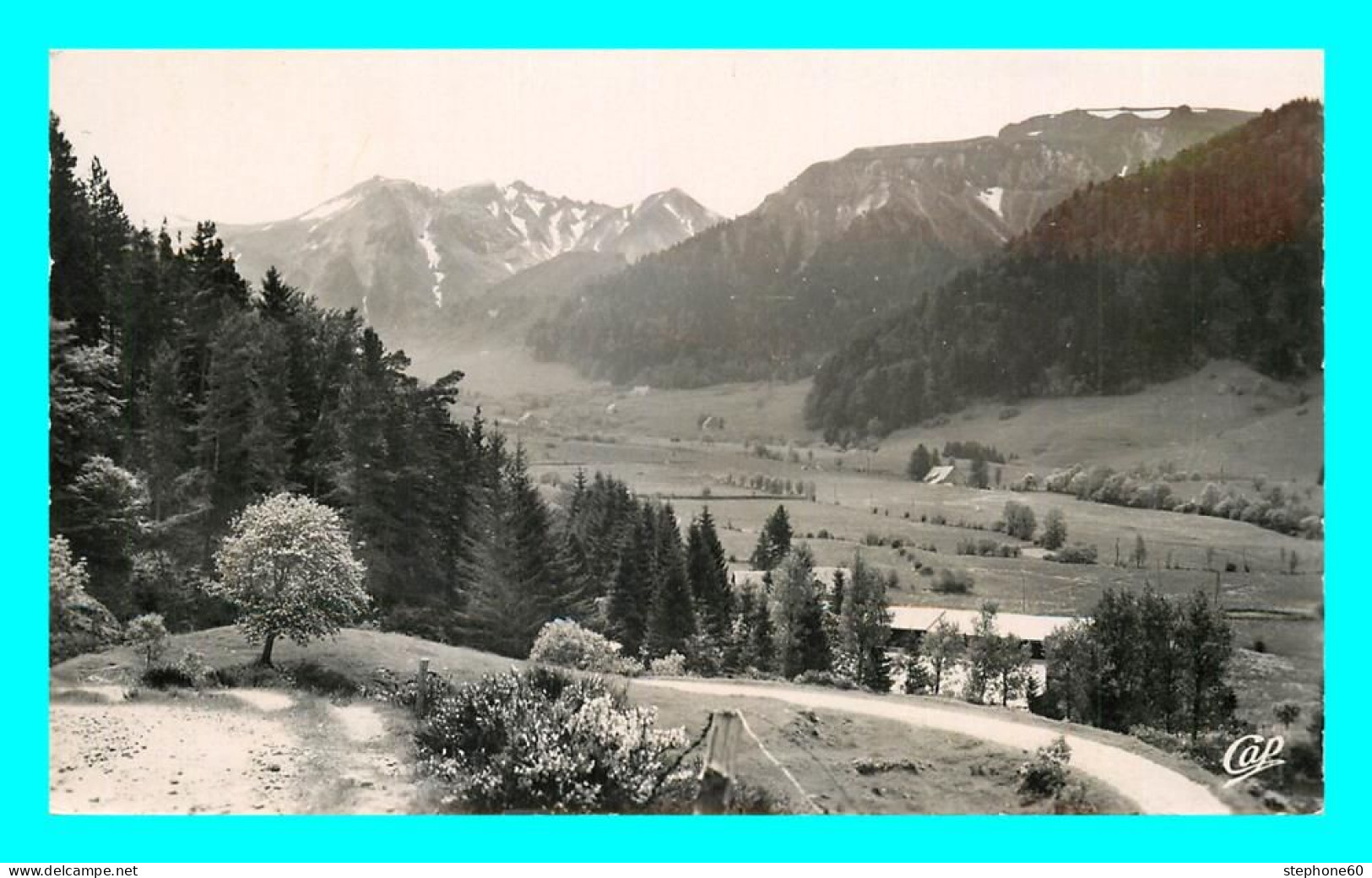 A810 / 153 63 - LE MONT DORE Sancy Vue Sur Le Pic Du Sancy - Le Mont Dore