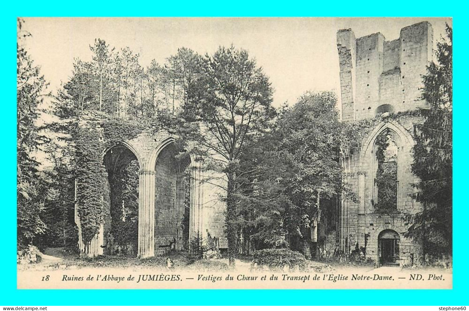 A816 / 391 76 - JUMIEGES Ruines De L'Abbaye Vestiges Du Choeur - Jumieges