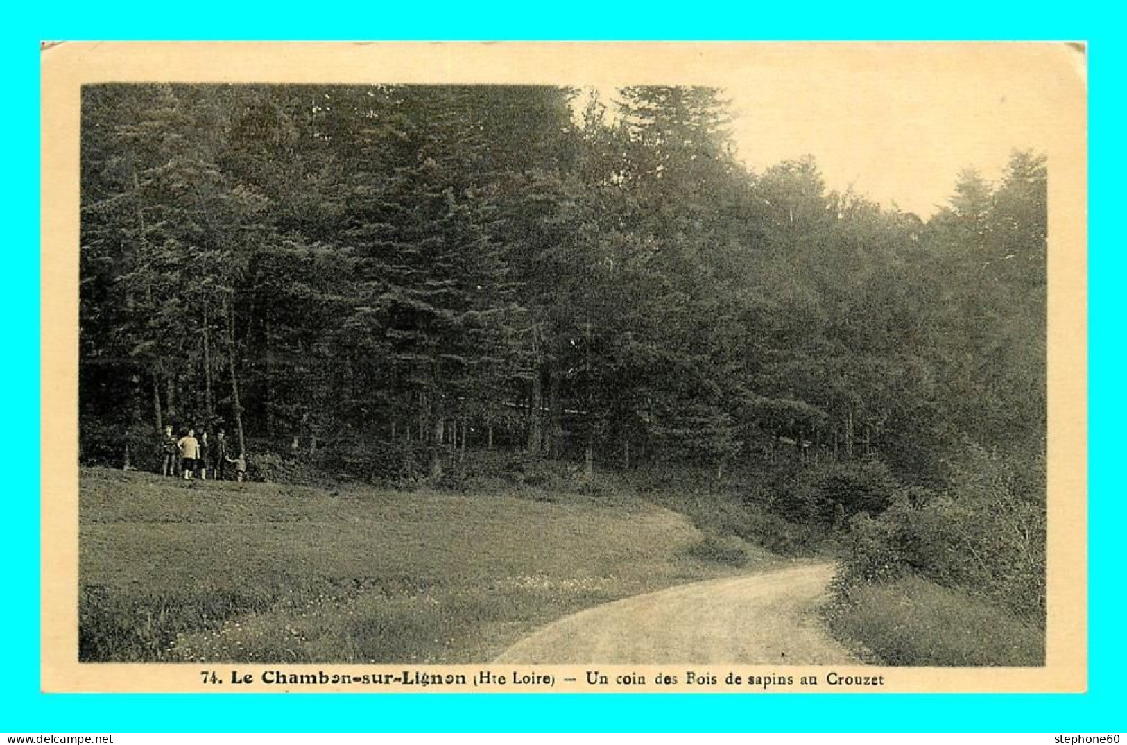 A815 / 527 43 - LE CHAMBON SUR LIGNON Un Coin Des Bois De Sapins Au Crouzet - Le Chambon-sur-Lignon