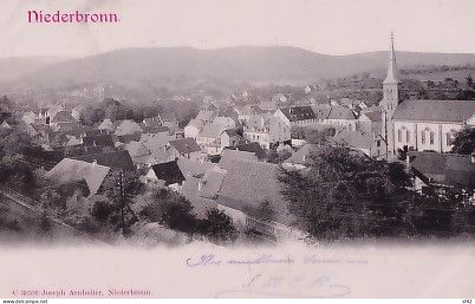 NIEDERBRONN                     PANORAMA        PRECURSEUR - Niederbronn Les Bains