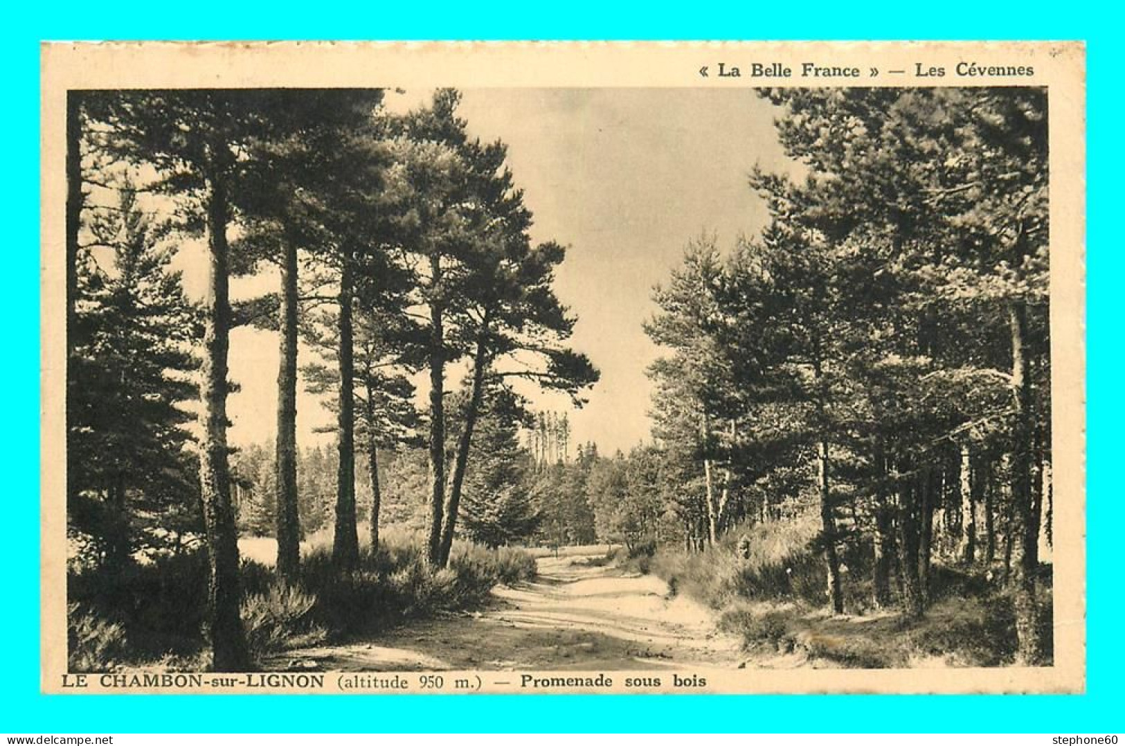 A823 / 197 43 - LE CHAMBON SUR LIGNON Promenade Sous Bois - Le Chambon-sur-Lignon