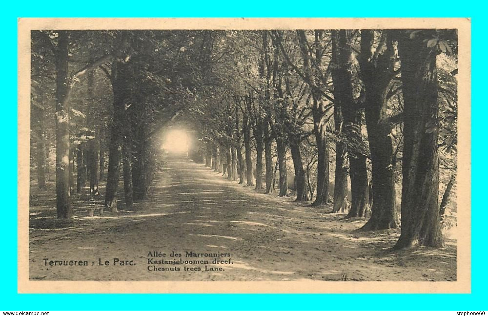 A822 / 135 TERVUREN Tervueren Le Parc Allée Des Marronniers - Tervuren