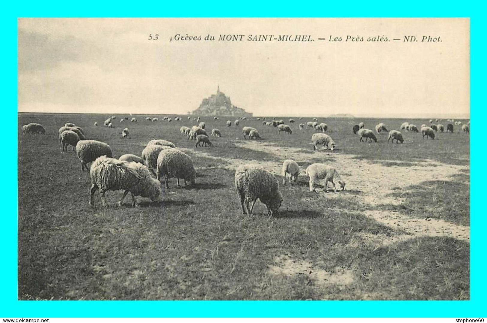 A826 / 153 50 - LE MONT SAINT MICHEL Greves - Les Prés Salés ( Mouton ) - Le Mont Saint Michel