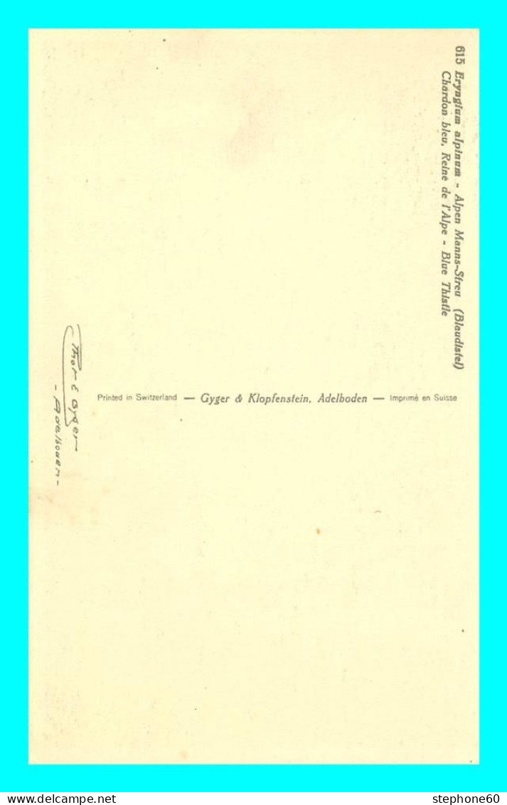 A828 / 613 FLEUR Chardon Bleue Reine Des Alpes - Autres & Non Classés