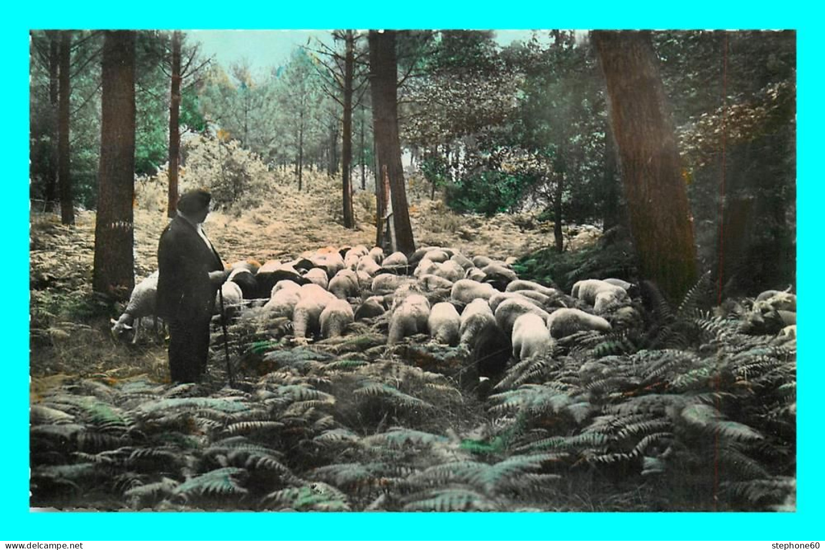 A828 / 051 40 - Les Landes Pittoresques Paturage Dans La Foret ( Mouton ) - Autres & Non Classés