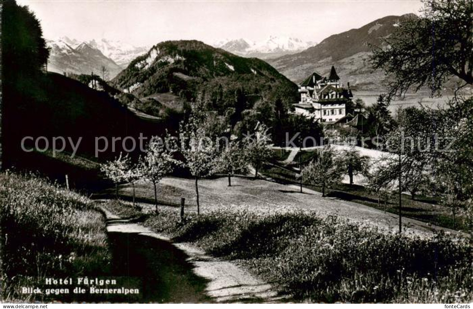 13822911 Fuerigen Stansstad NW Hotel Fuerigen Mit Berner Alpen  - Andere & Zonder Classificatie