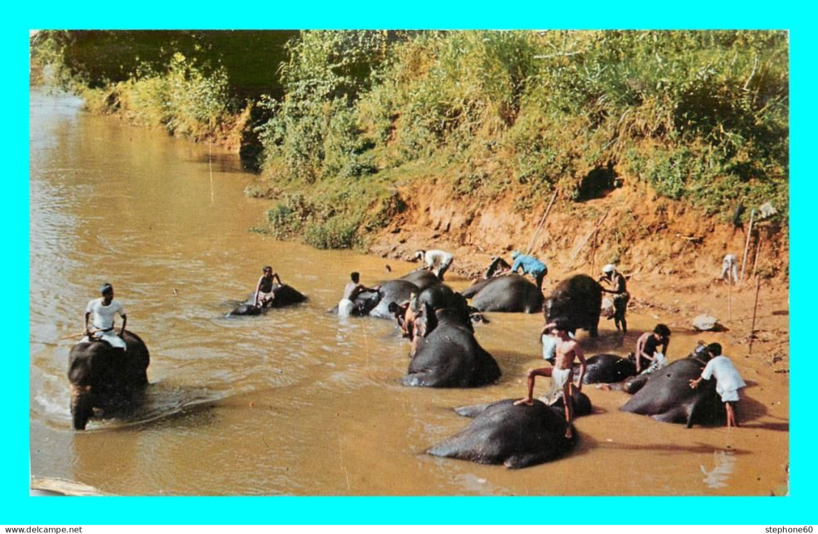 A830 / 479 SRI LANKA Elephants Bathing In The Mahaweli Ganga Katugastota Ceylon - Sri Lanka (Ceylon)
