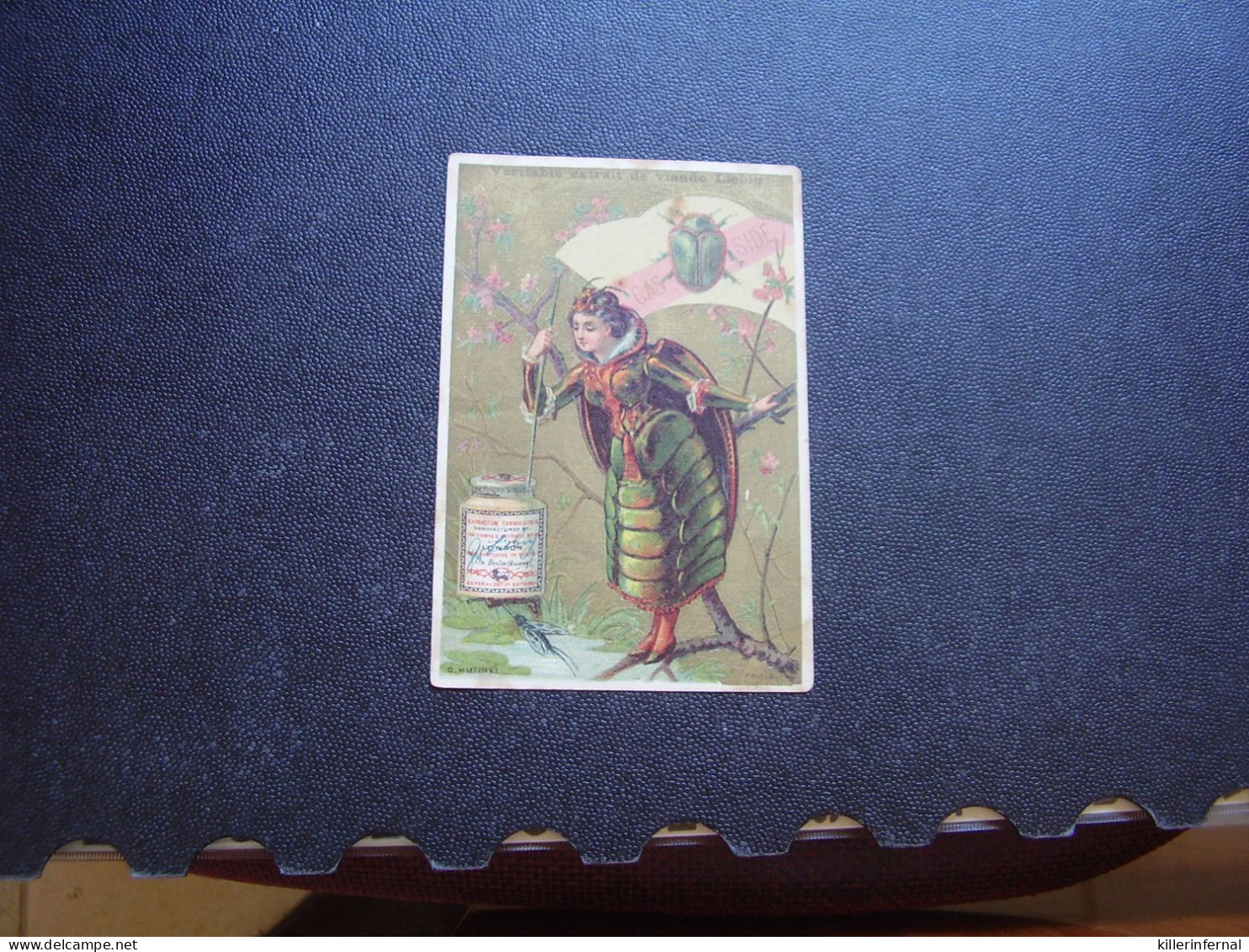 Original Old Card Chromo Liebig S 118 Femme  Insecte - Liebig