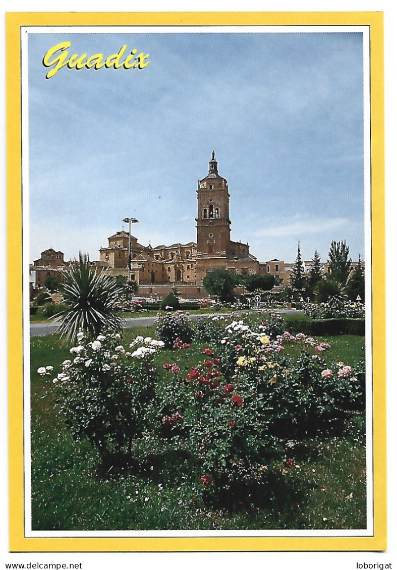 AL FONDO, LA CATEDRAL.- GUADIX / GRANADA.- ( ESPAÑA) - Granada