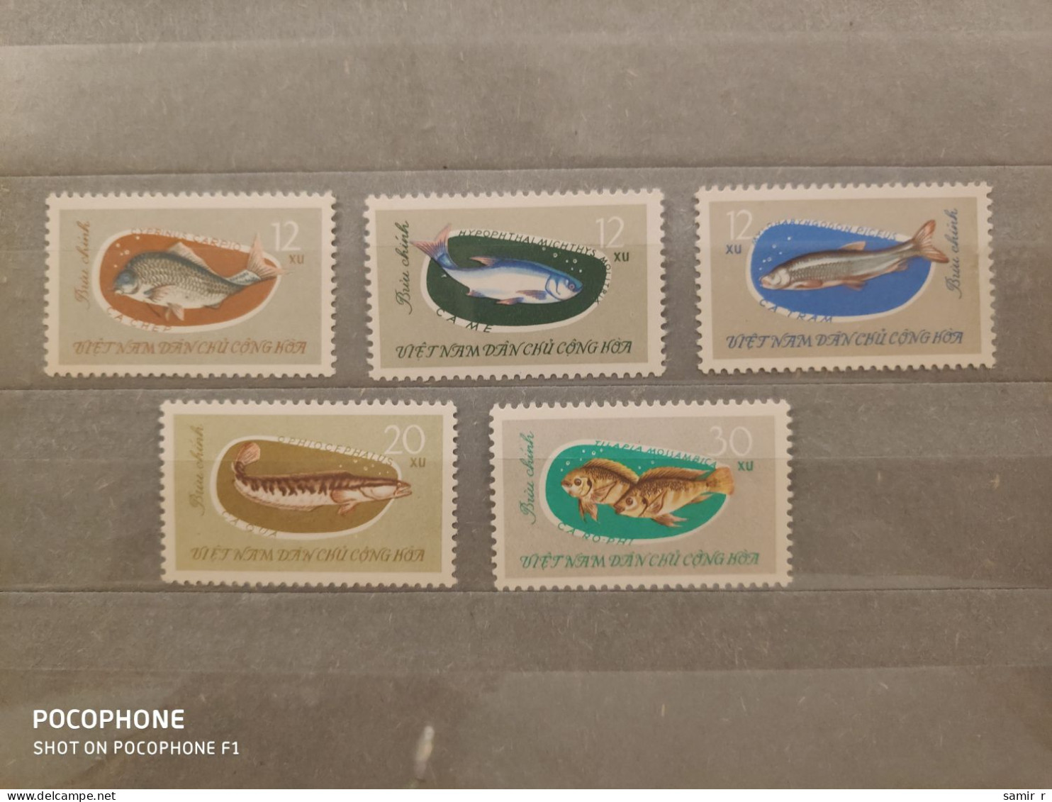 1963	Vietnam	Fishes (F93) - Viêt-Nam