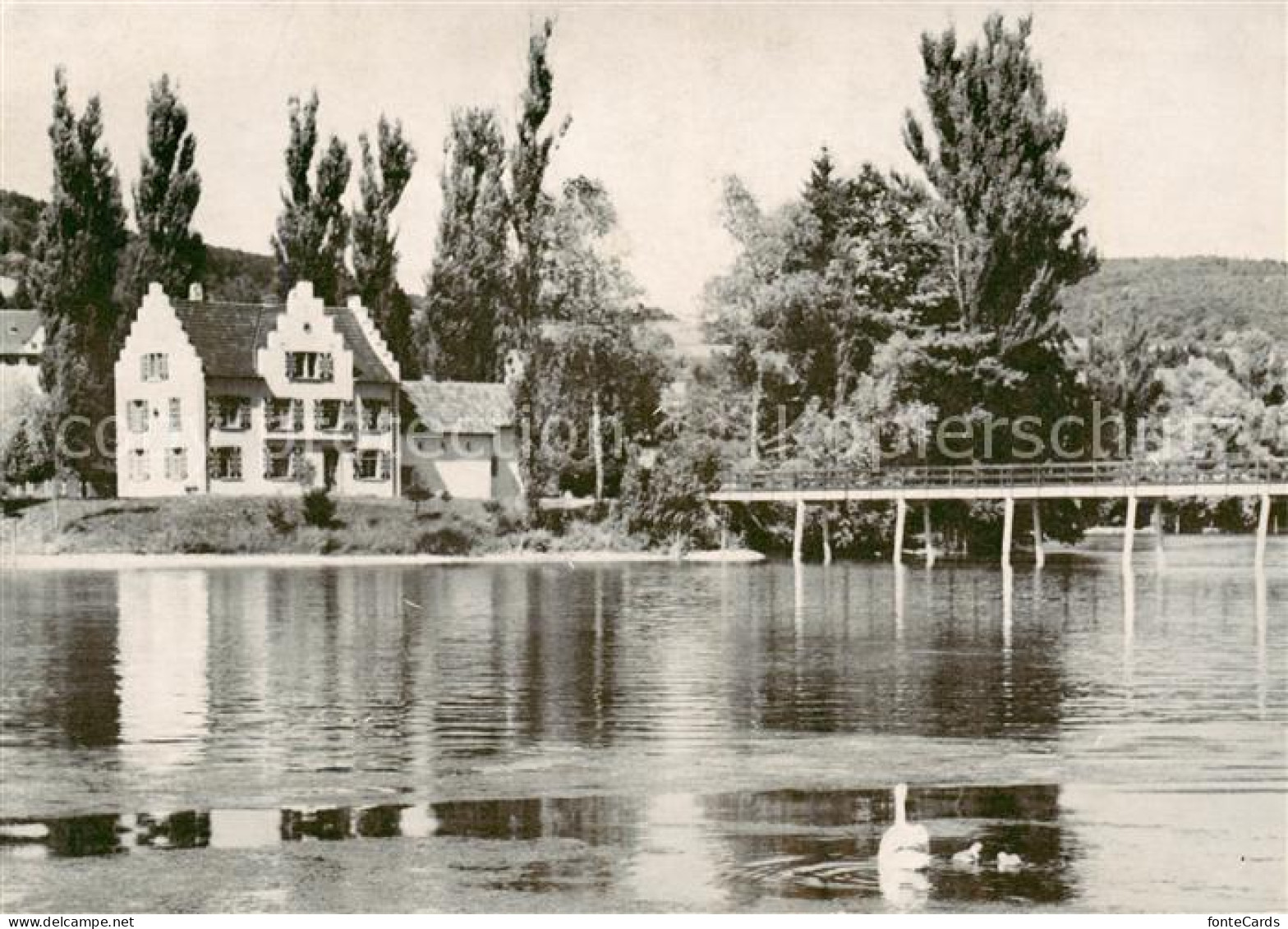 13819052 Eschenz St Otmar Im Werd Eschenz - Autres & Non Classés