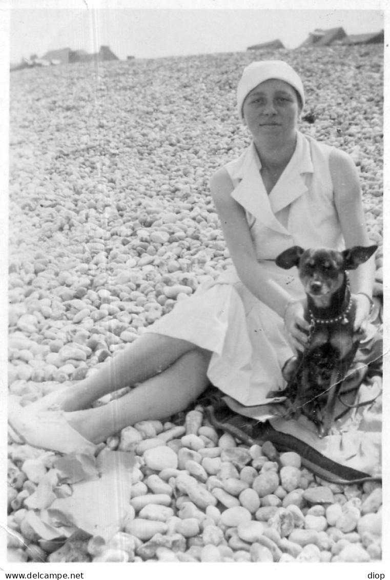 Photographie Photo Vintage Chien Dog Doggy Pet Chiot  - Sonstige & Ohne Zuordnung