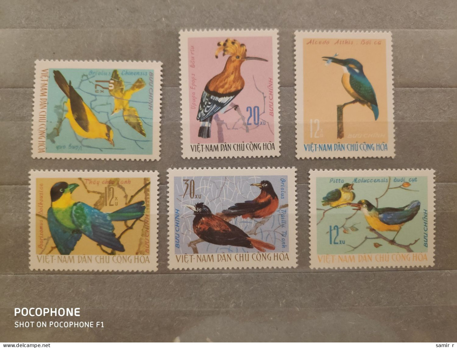 1966	Vietnam	Birds (F93) - Viêt-Nam