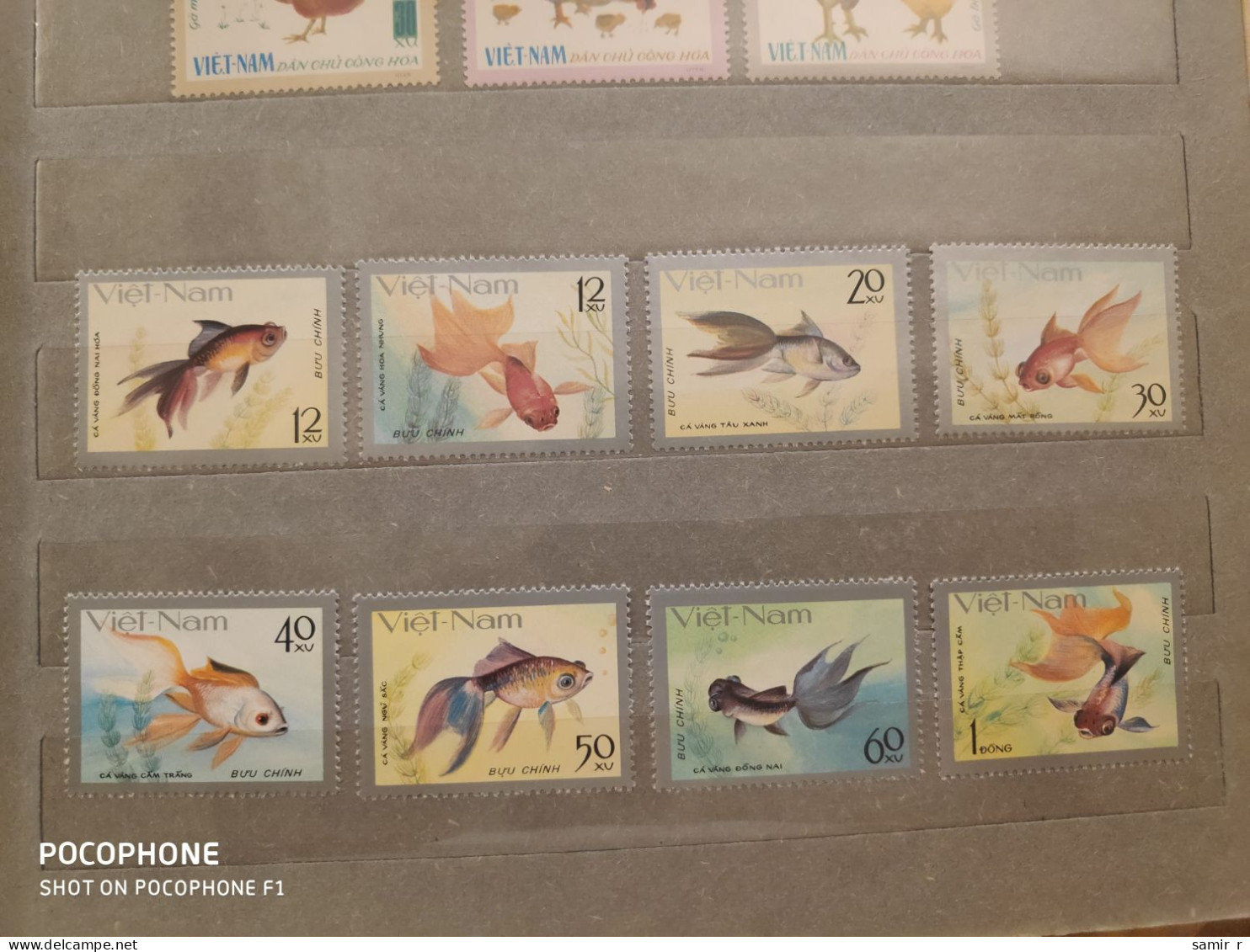 1977	Vietnam	Fishes (F93) - Vietnam