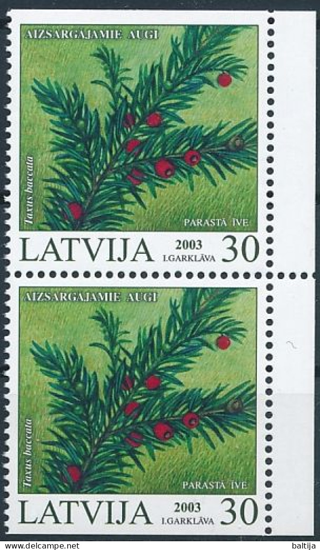 Mi 588 Do/Du ** MNH / Protected Plants, European Yew, Taxus Baccata - Lettonia