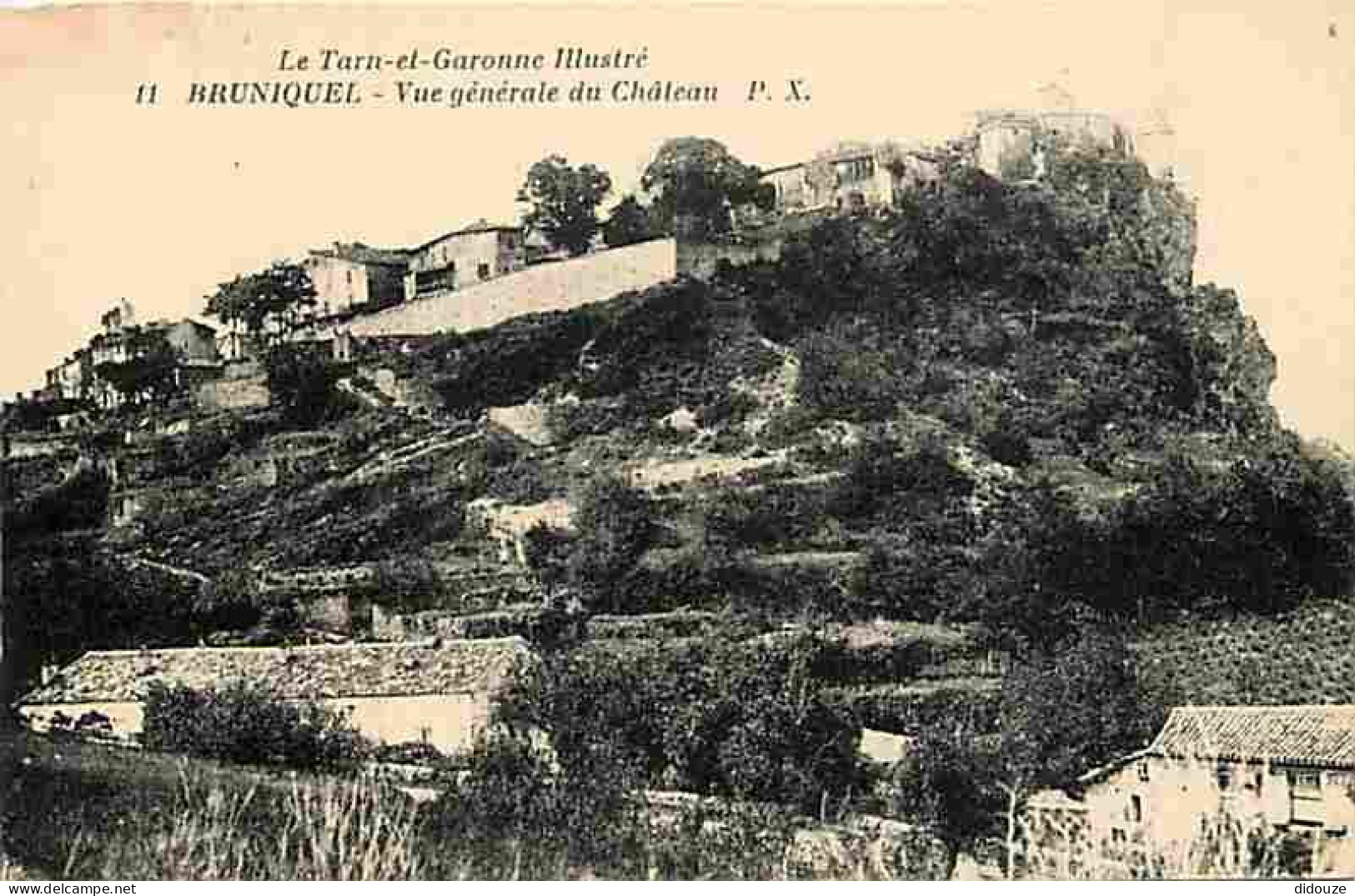 82 - Bruniquel - Vue Générale Du Château - Carte Neuve - CPA - Voir Scans Recto-Verso - Andere & Zonder Classificatie