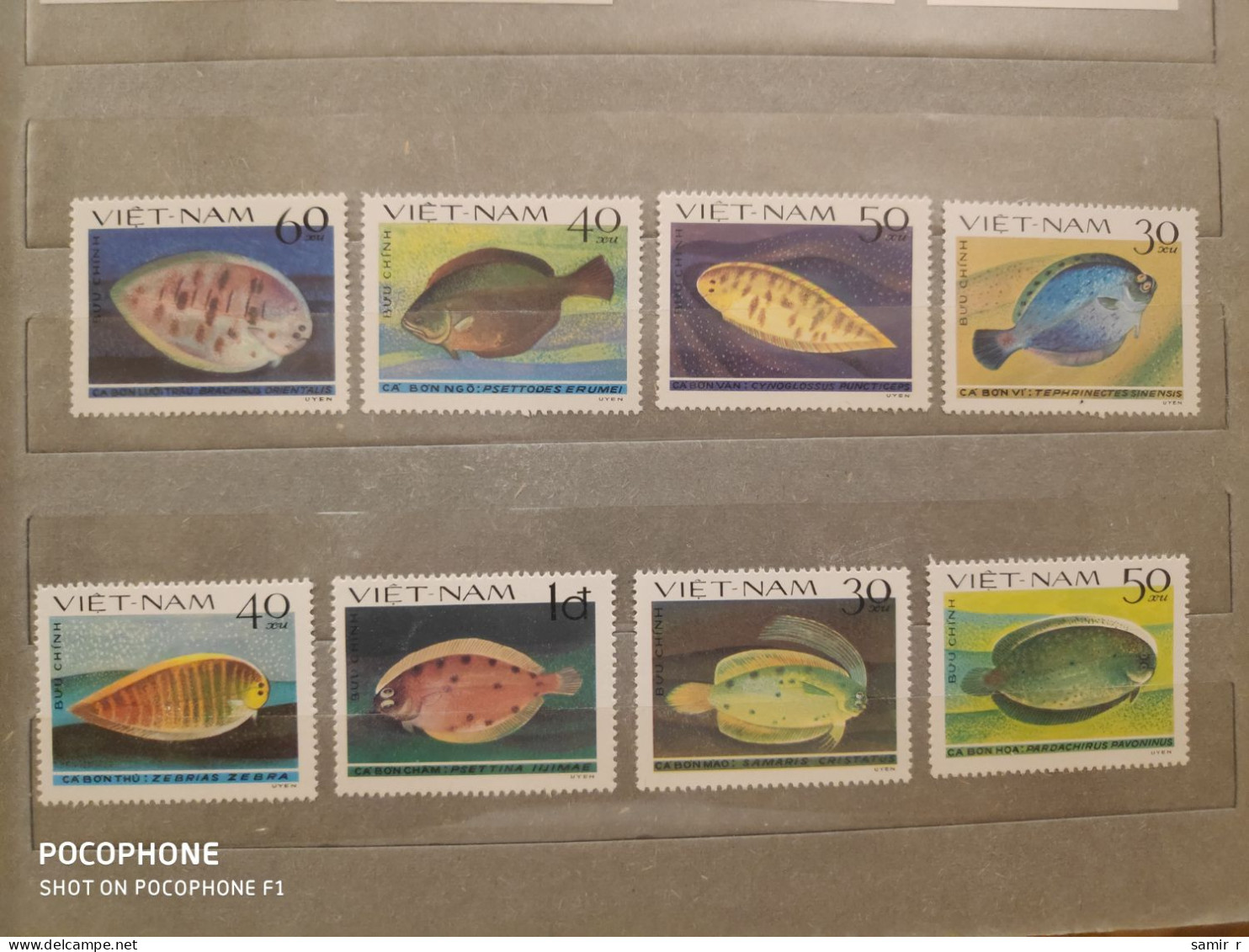 1982	Vietnam	Fishes (F93) - Viêt-Nam