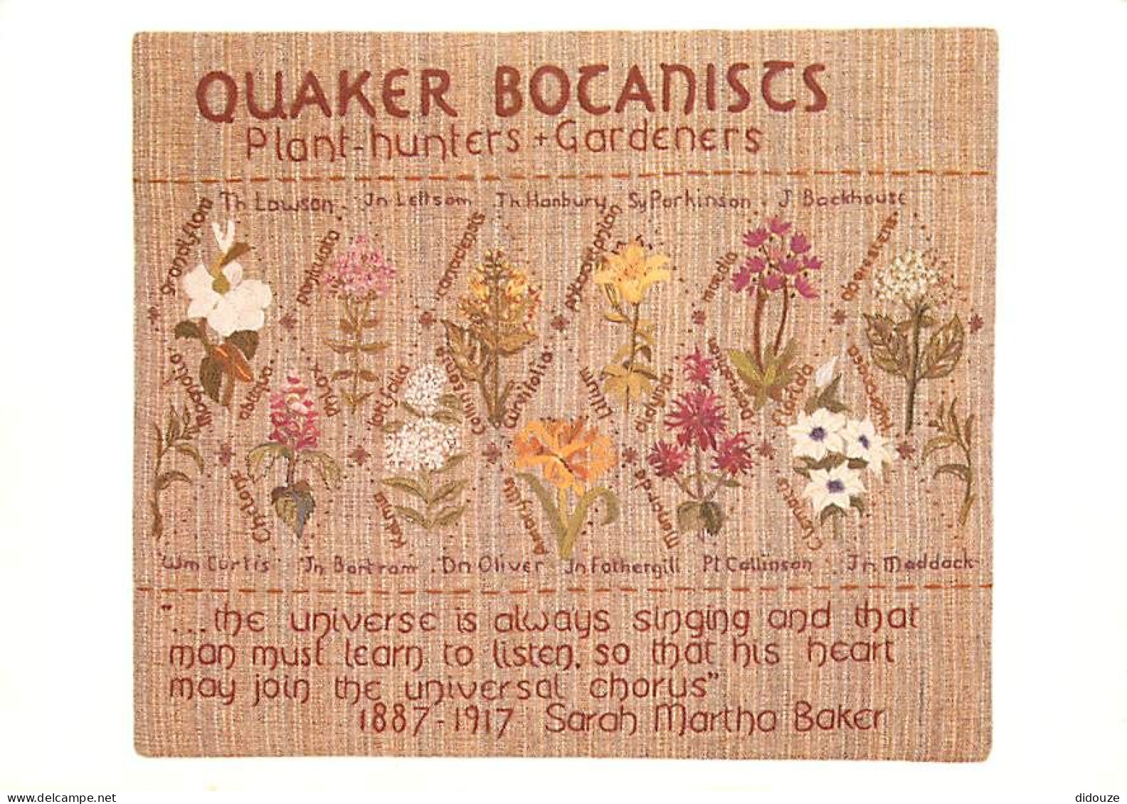 Art - Tapisserie - Quaker Botanists - Panel D8 Of The Quaker Tapestry - One Of A Séries Of 77 Postcards Published By The - Sonstige & Ohne Zuordnung