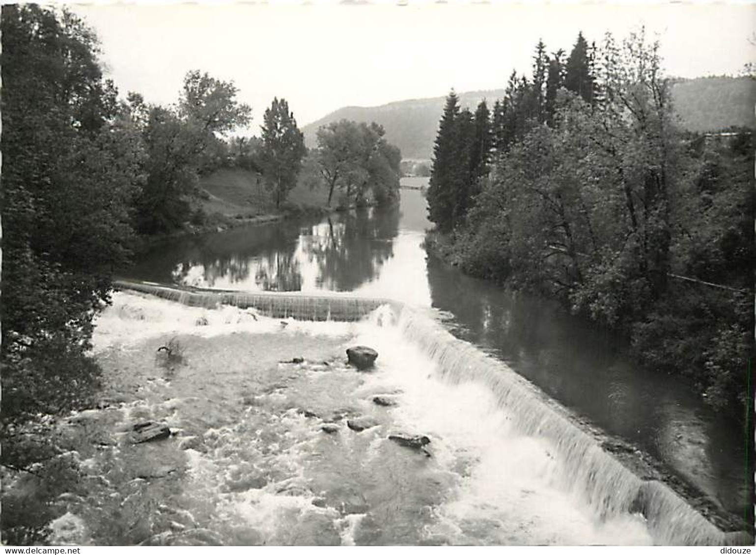 39 - Champagnole - Barrage Sur L'Ain - Mention Photographie Véritable - Carte Dentelée - CPSM Grand Format - Carte Neuve - Champagnole