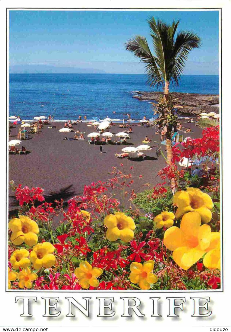 Espagne - Espana - Islas Canarias - Tenerife - Playa La Arena - Fleurs - CPM - Voir Scans Recto-Verso - Tenerife