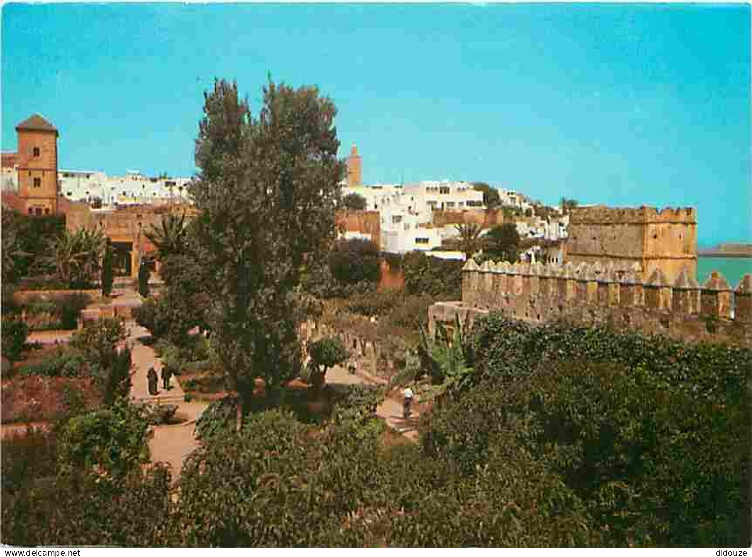 Maroc - Rabat - Le Jardin Des Oudaïas - Carte Neuve - CPM - Voir Scans Recto-Verso - Rabat
