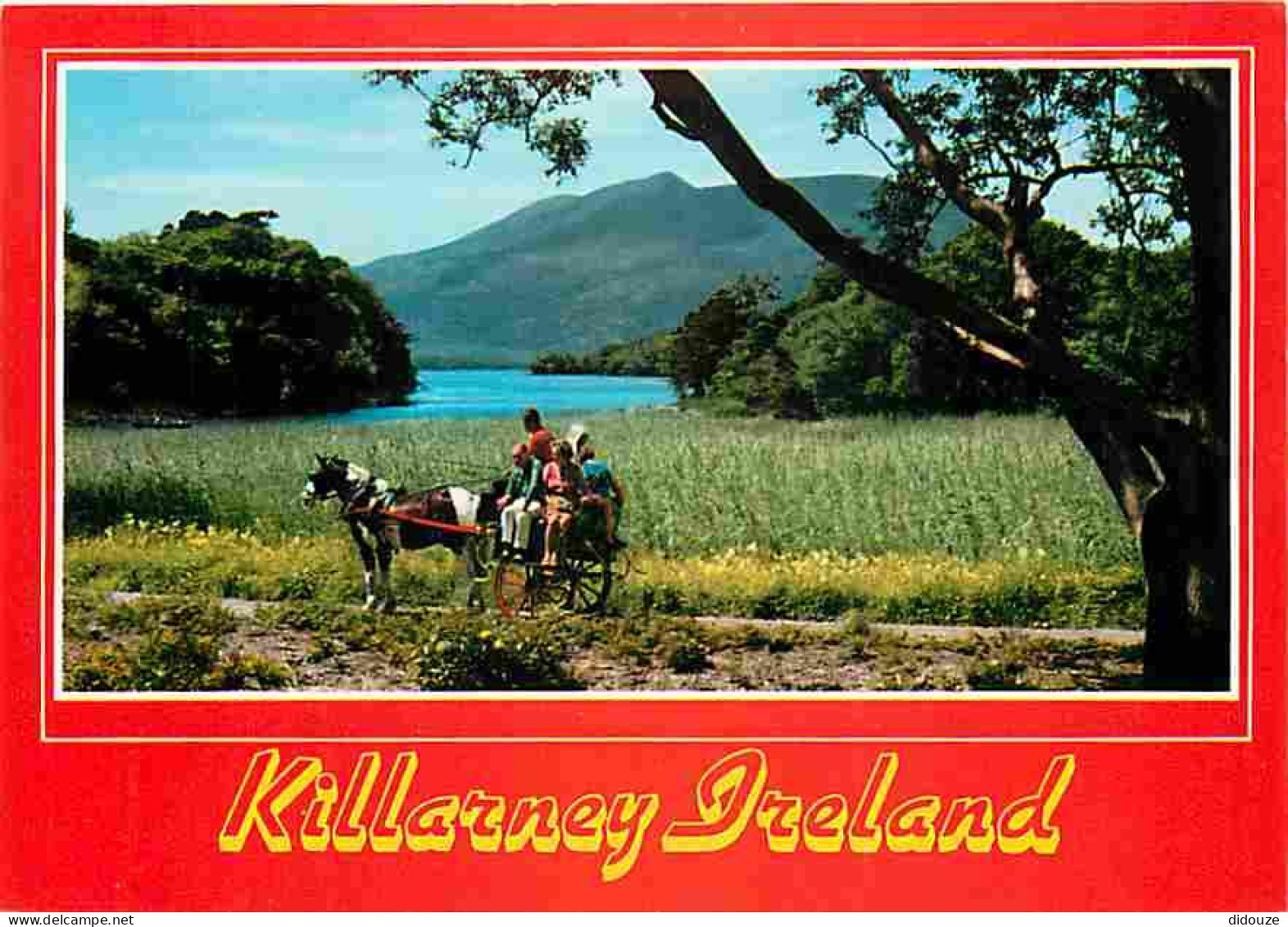 Irlande - Kerry - Muckross - Park - Killarney - Attelage De Chevaux - Carte Neuve - Ireland - CPM - Voir Scans Recto-Ver - Kerry