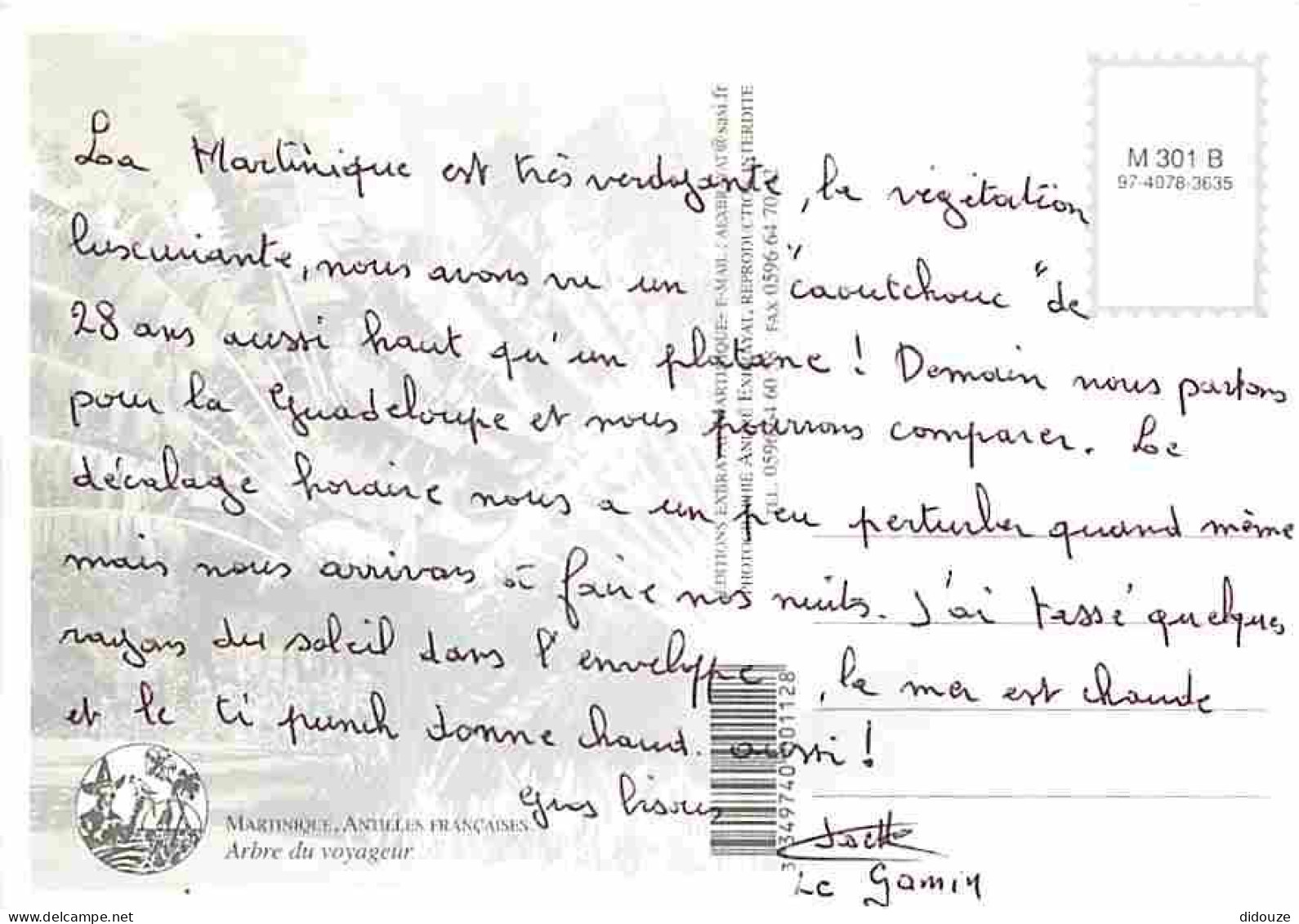 Martinique - Arbre Du Voyageur - CPM - Voir Scans Recto-Verso - Autres & Non Classés