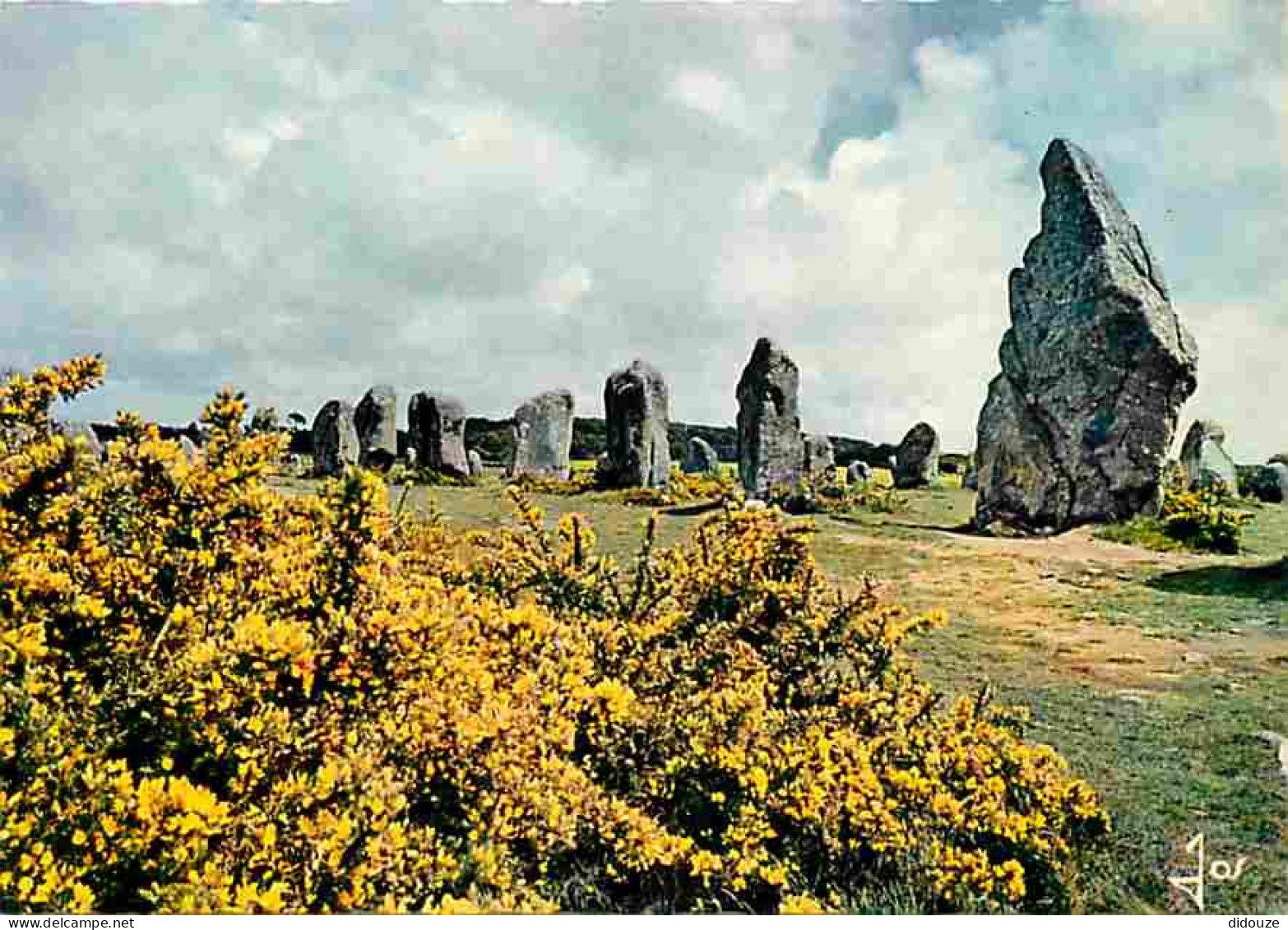 56 - Carnac - Les Ajoncs Et Les Menhirs - Carte Neuve - CPM - Voir Scans Recto-Verso - Carnac