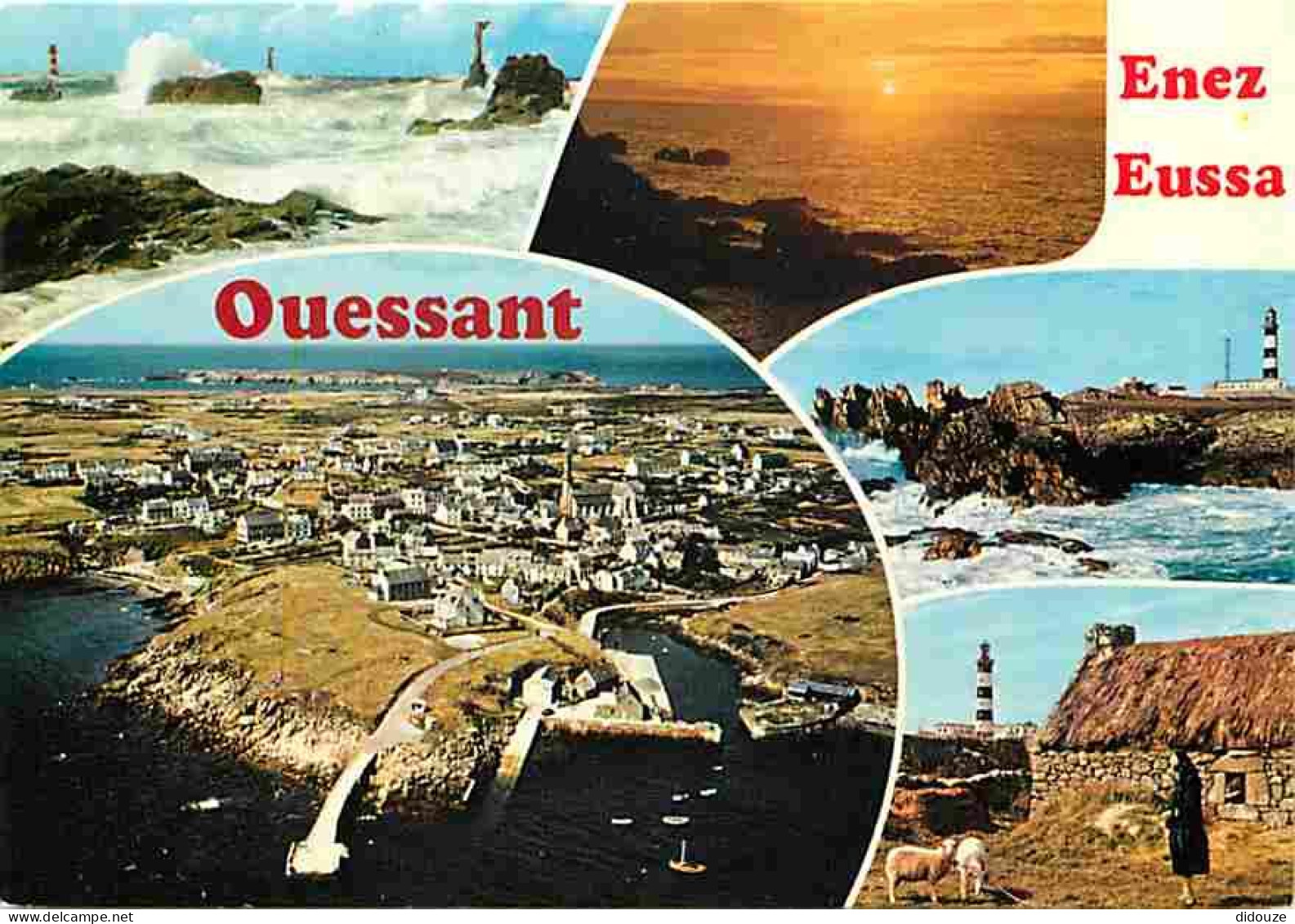 29 - Ile D'Ouessant - Multivues - Moutons - Bergère - Voir Scans Recto Verso  - Ouessant