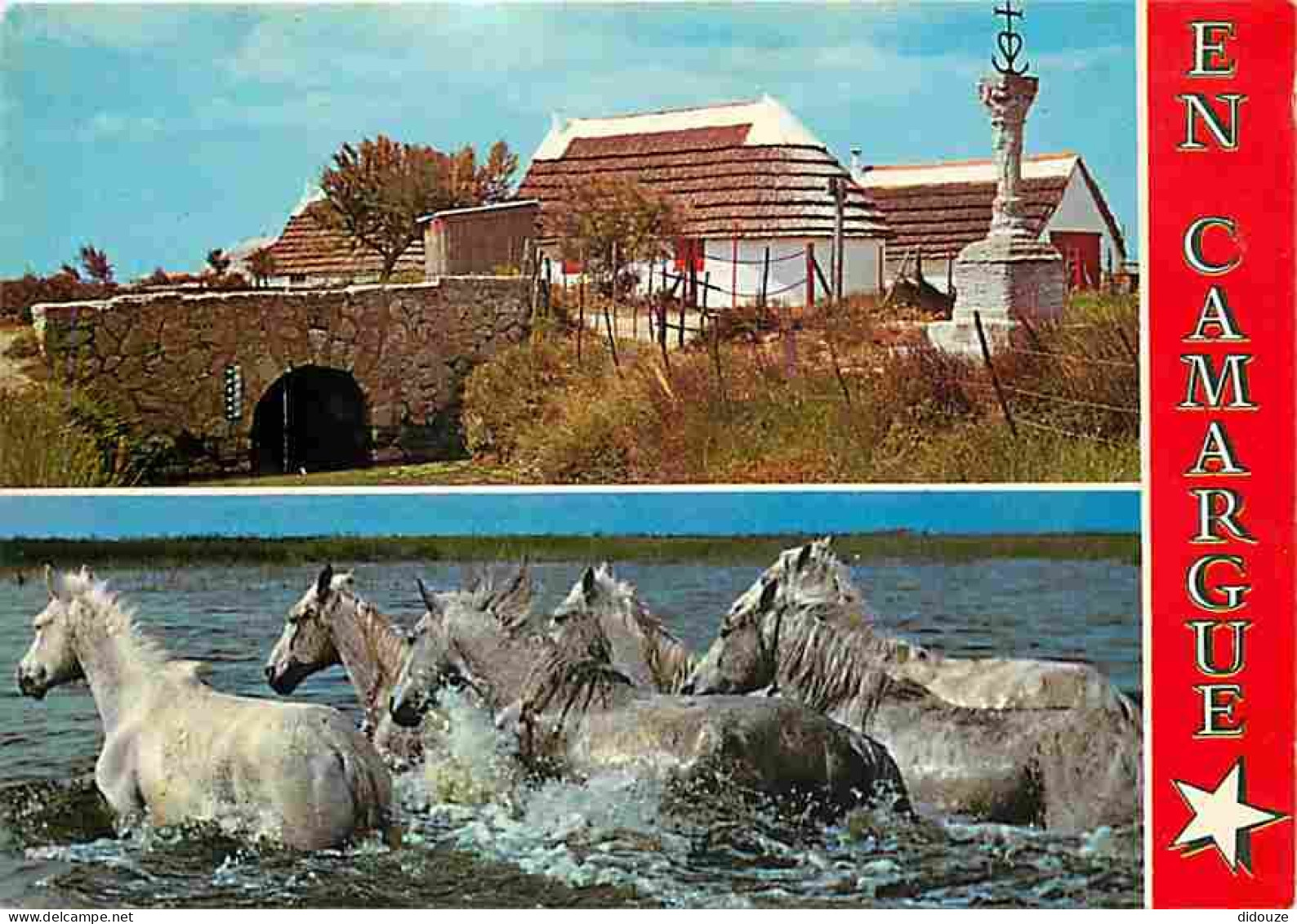 Animaux - Chevaux - Camargue - Multivues - Carte Neuve - CPM - Voir Scans Recto-Verso - Pferde