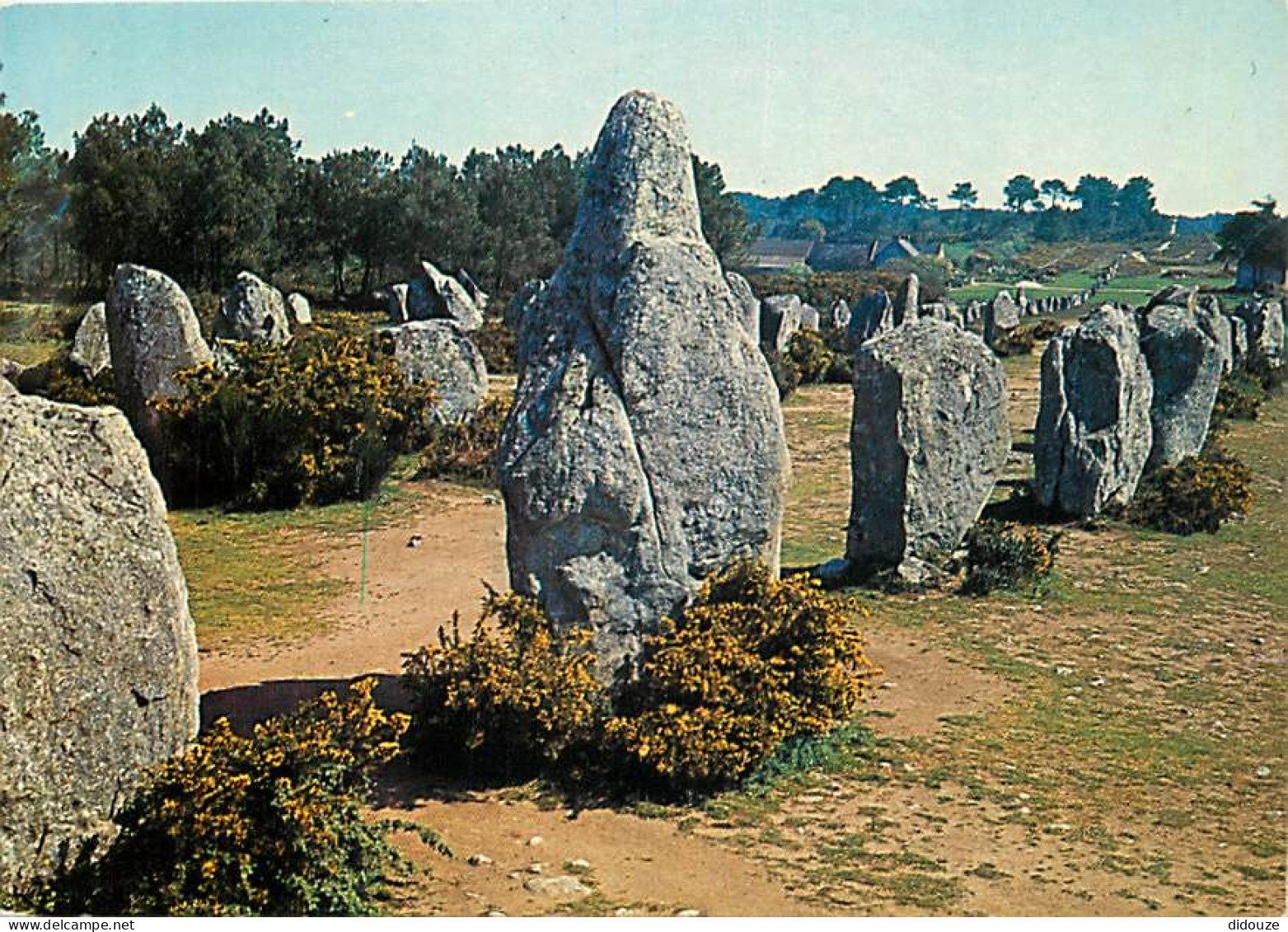 56 - Carnac - CPM - Voir Scans Recto-Verso - Carnac