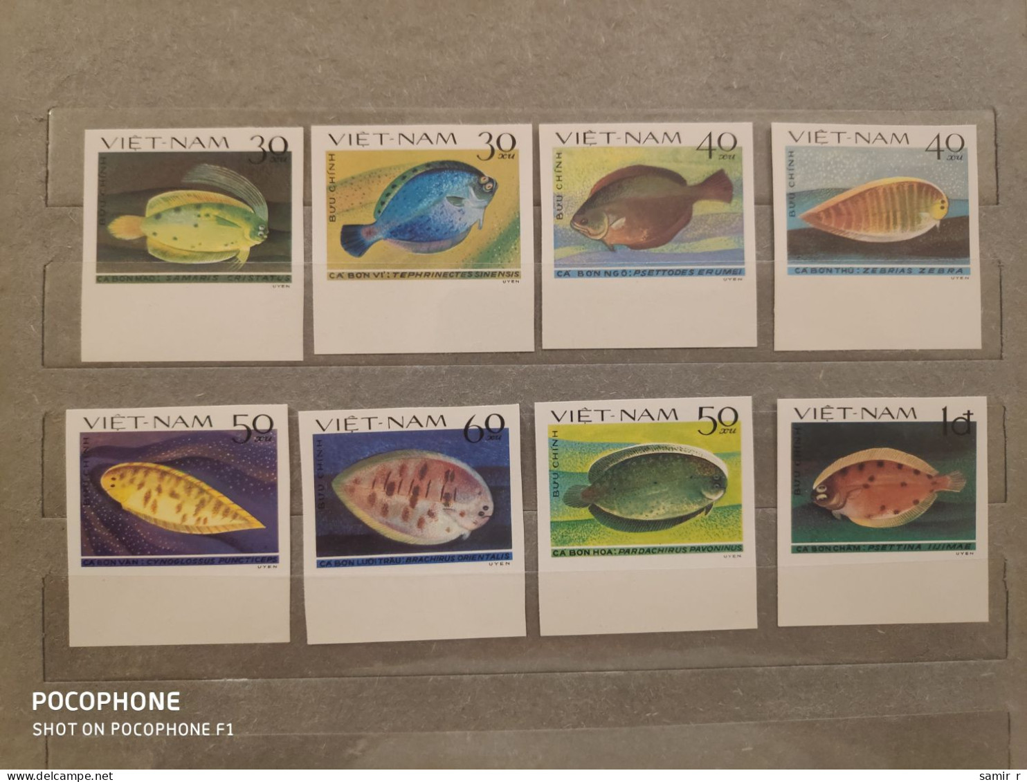 1982	Vietnam	Fishes (F93) - Vietnam