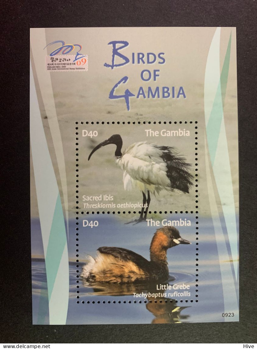 Gambia 2009 Birds MNH - Gambia (1965-...)