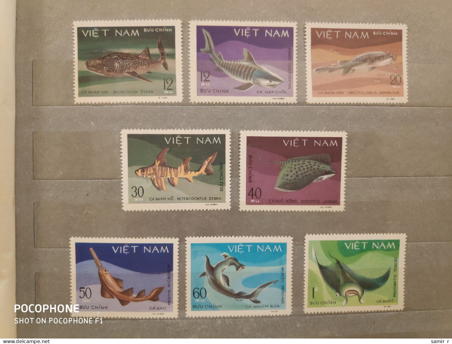 1980	Vietnam	Fishes Sharks (F93) - Vietnam