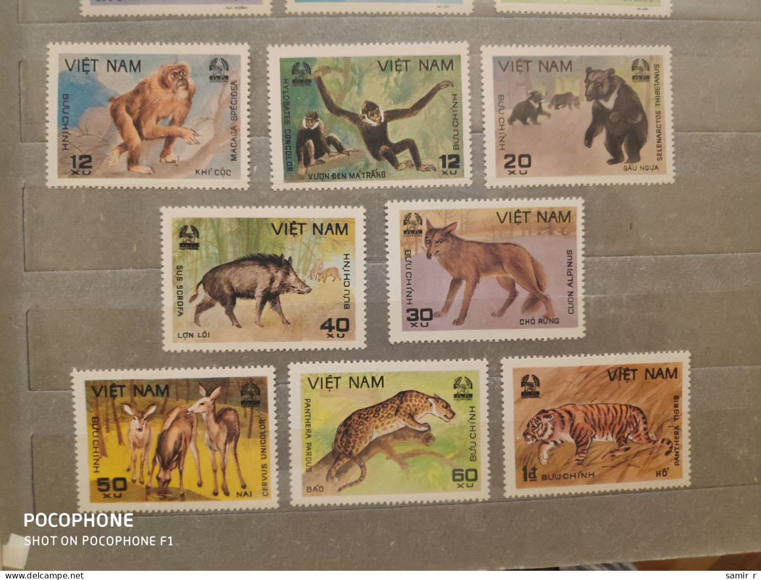 1981	Vietnam	Animals (F93) - Viêt-Nam