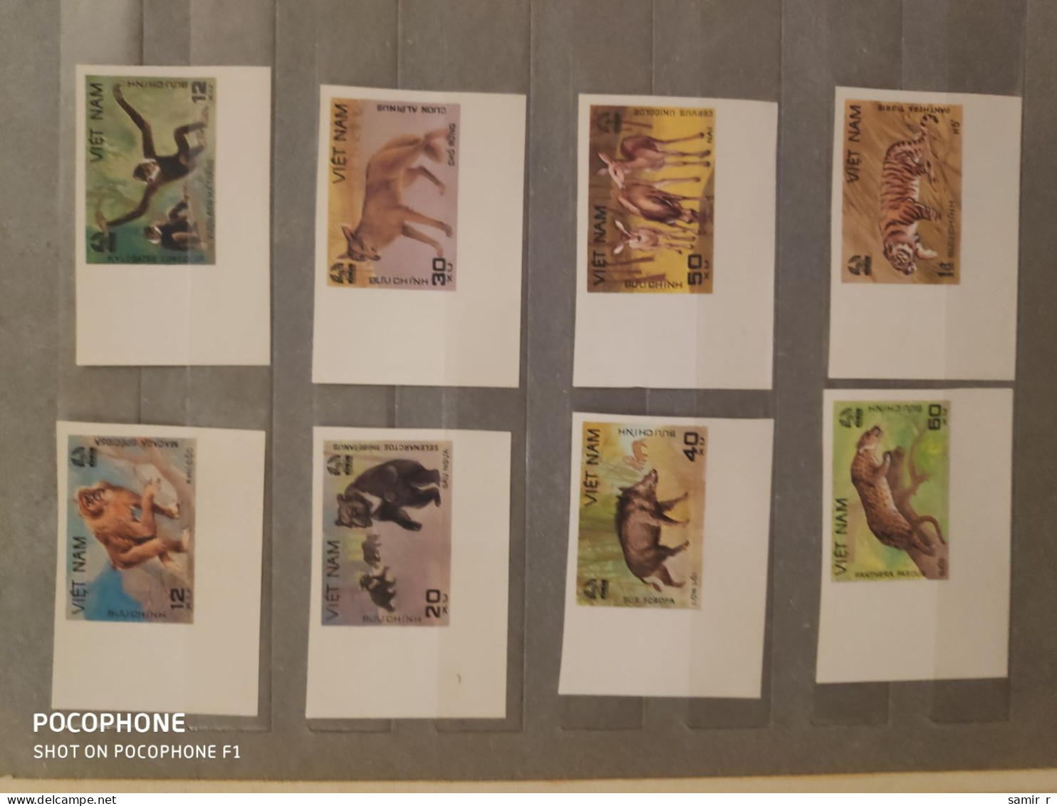 1981	Vietnam	Animals (F93) - Vietnam