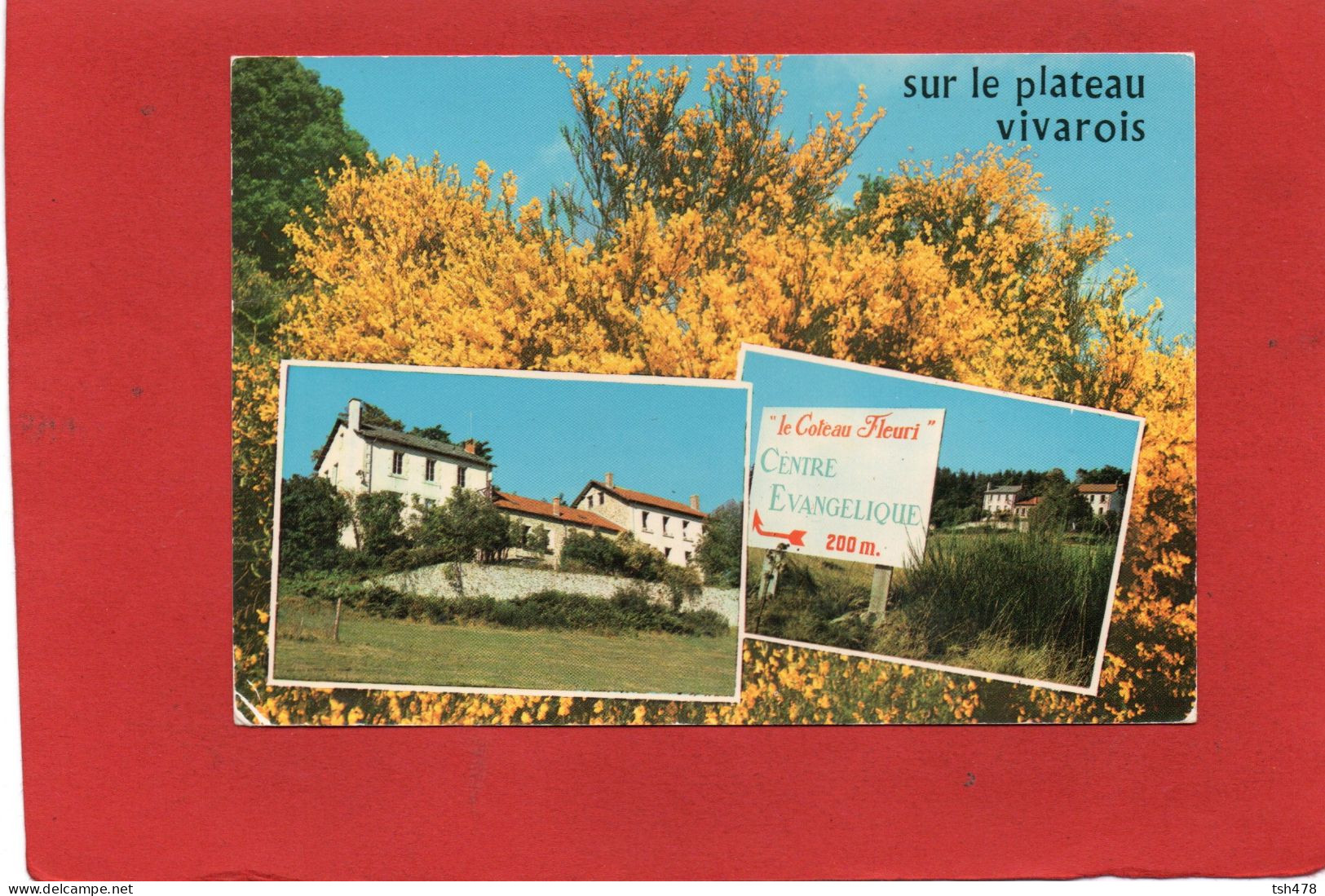 43----LE CHAMBON SUR LIGNON--Sur Le Plateau Vivarois---Multi-vues--voir 2 Scans - Le Chambon-sur-Lignon