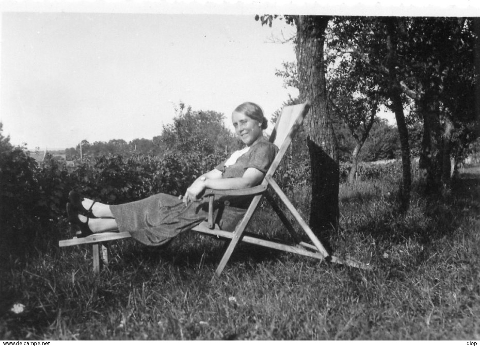 Photographie Photo Vintage Snapshot Transat Farniente Repos Jardin Arbre Tree - Anonyme Personen