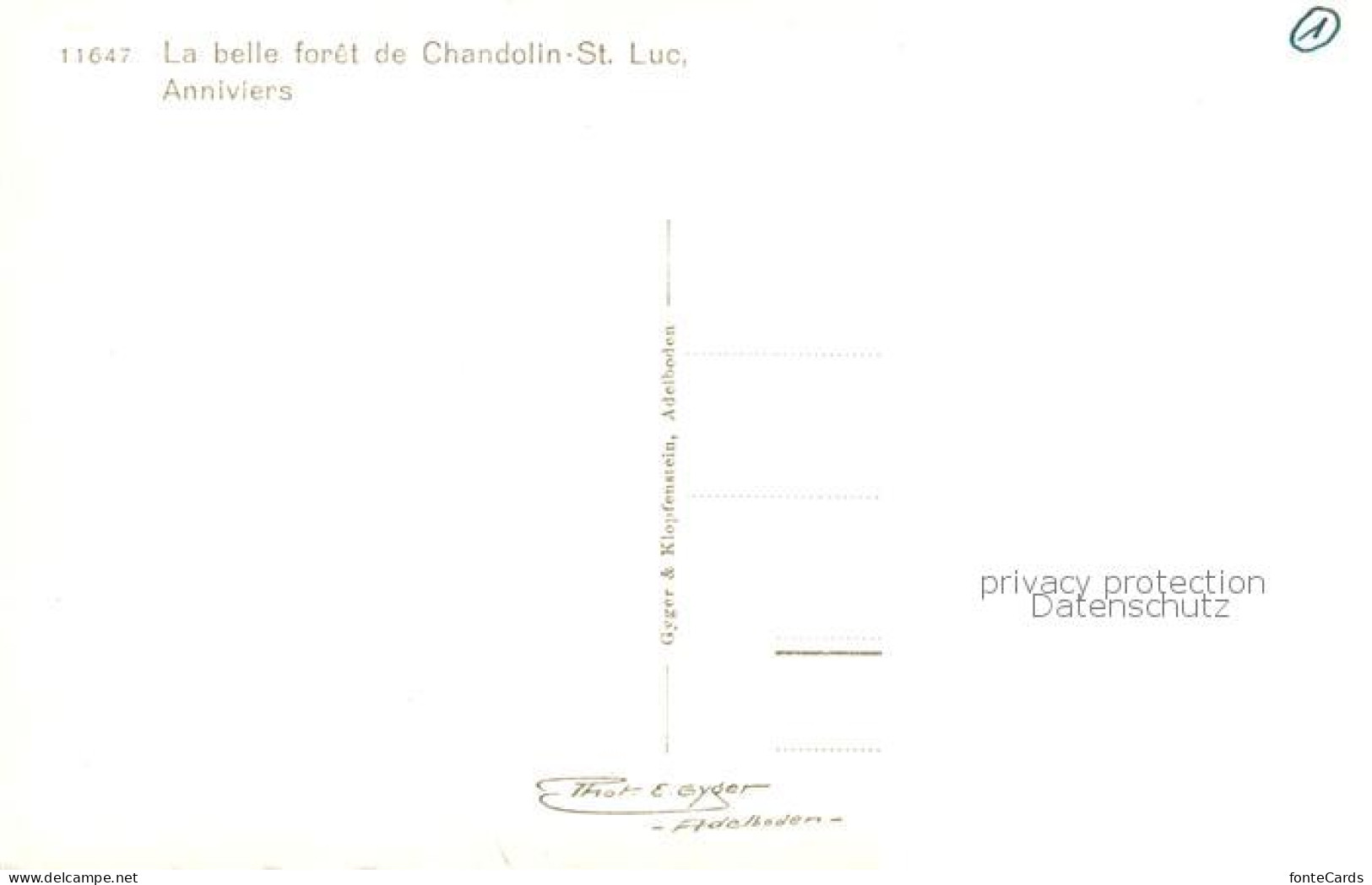 13816053 St Luc VS La Belle Foret De Chandolin  - Autres & Non Classés