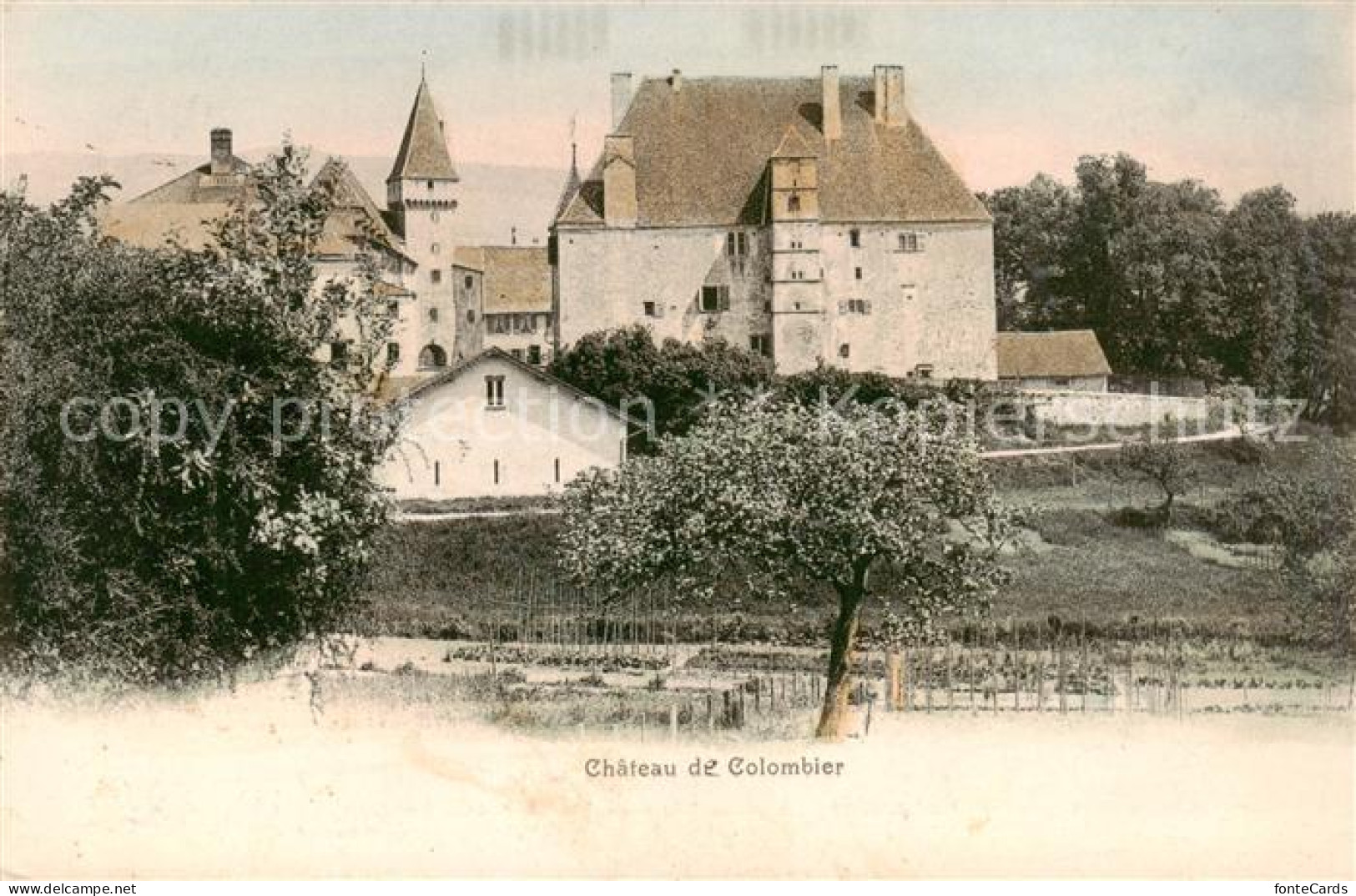 13815761 Colombier  NE Chateau De Colombier  - Autres & Non Classés