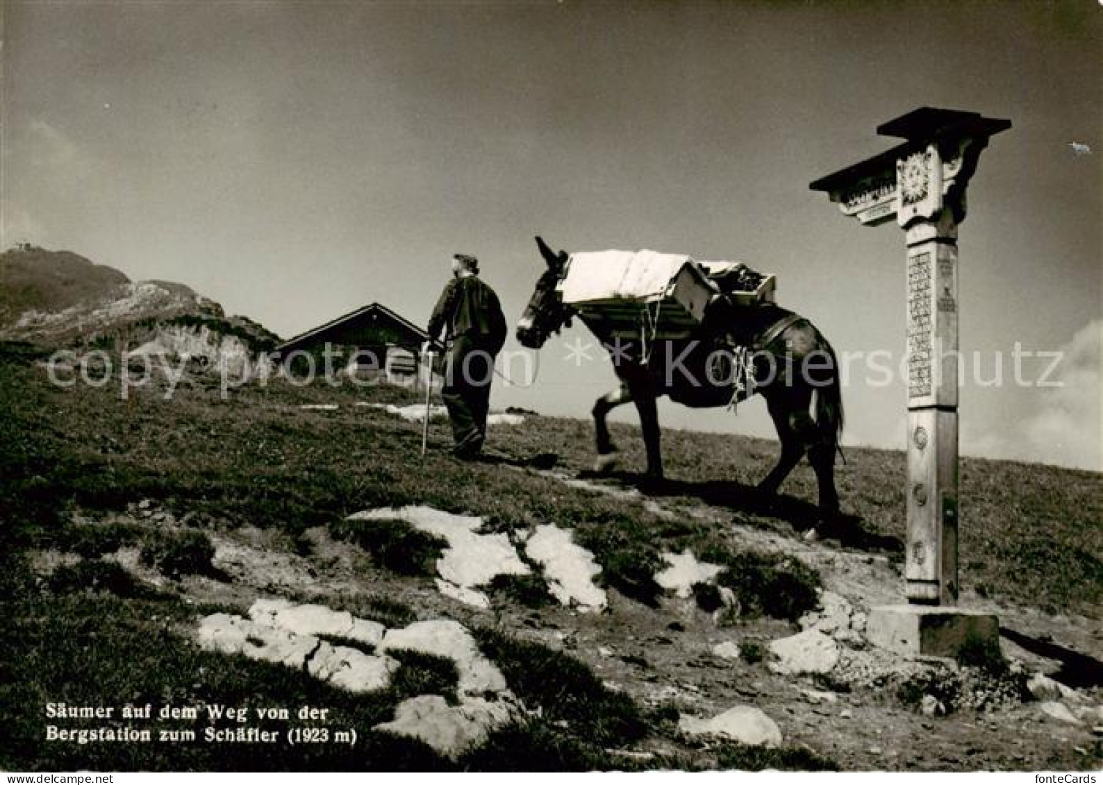 13806724 Schaefler 1925m IR Saeumer Auf Dem Weg Von Bergstation Zum Schaefler  - Autres & Non Classés