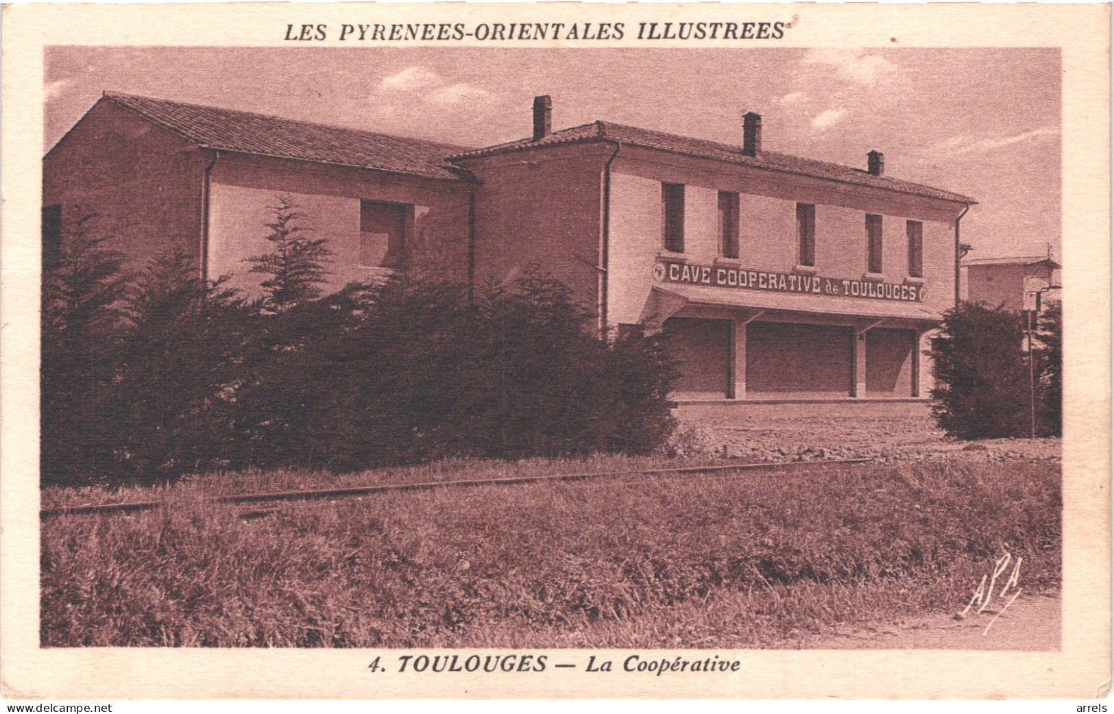 FR66 TOULOUGES - Apa 4 - La Cave Coopérative - Belle - Autres & Non Classés