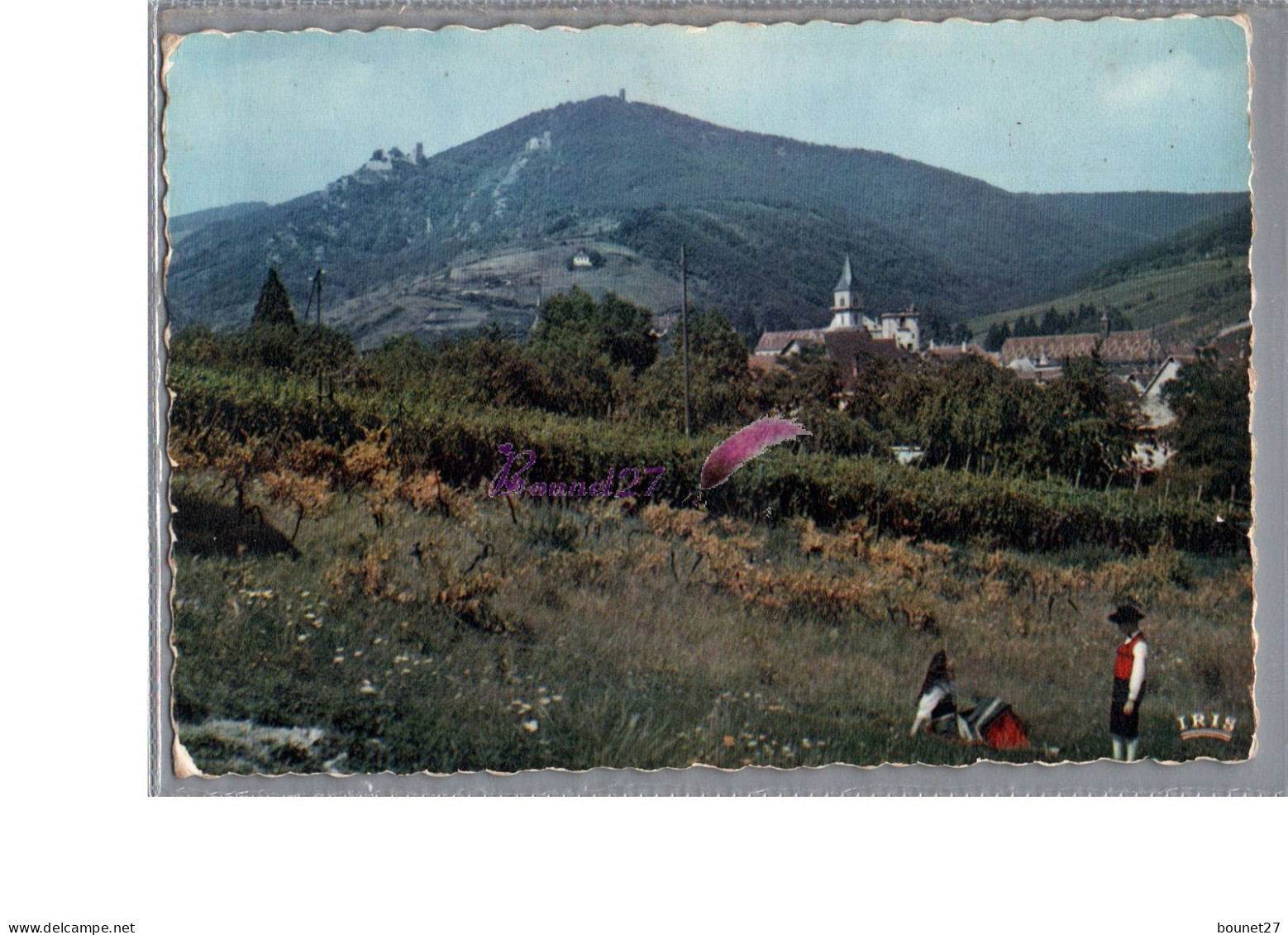 RIBEAUVILLE 68 - Vue Sur Les Châteaux Saint Ulrich Gisrsberg Et Hoh-rappolstein Carte Vierge - Ribeauvillé