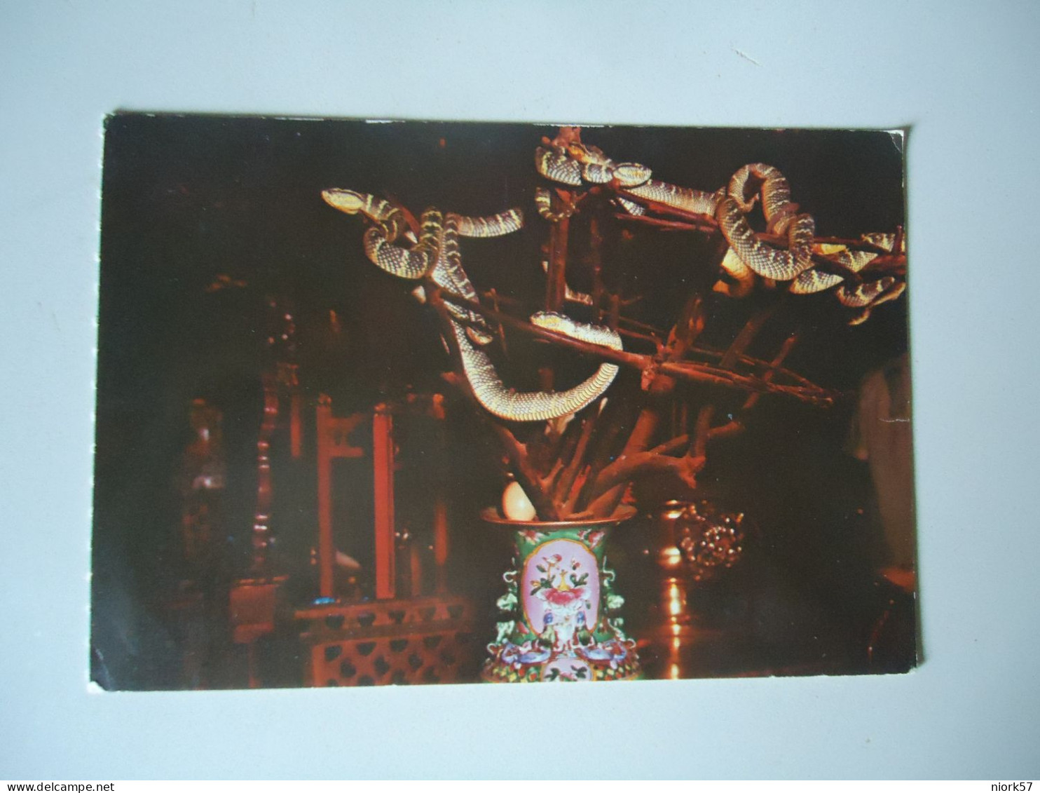 SINGAPORE POSTCARDS  SNAKE TEMPLE  PENANG  FOR MORE PURCHASES 10% DISCOUNT - Singapur