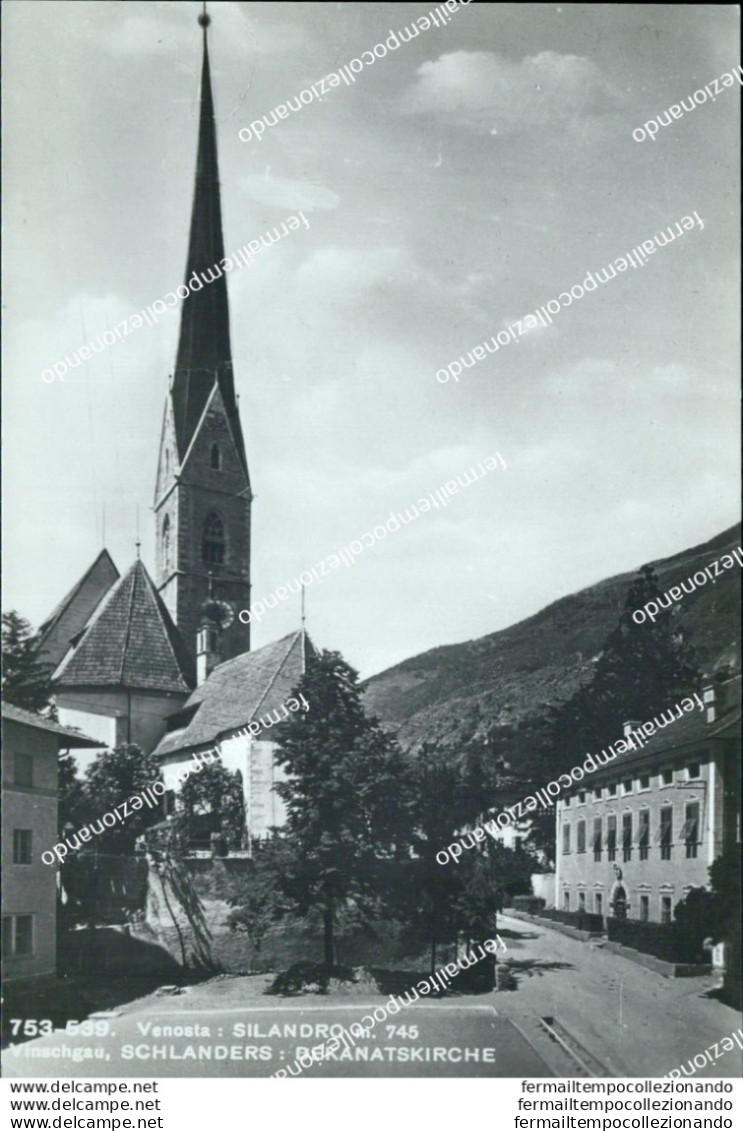 Bh368 Cartolina Venostra Silandro Provincia Di Bolzano - Bolzano