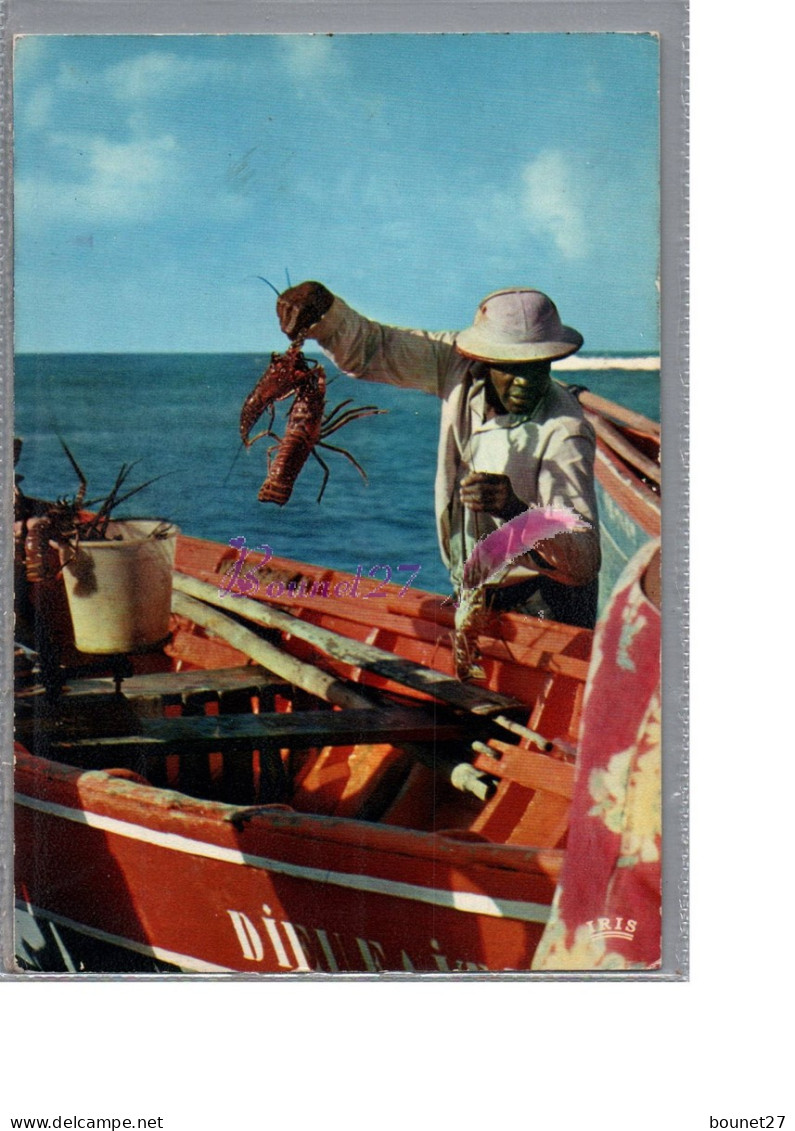 ANTILLES RADIEUSES - Un Pêcheur De Langoustine Animé Homme Barque Homard  - Other & Unclassified