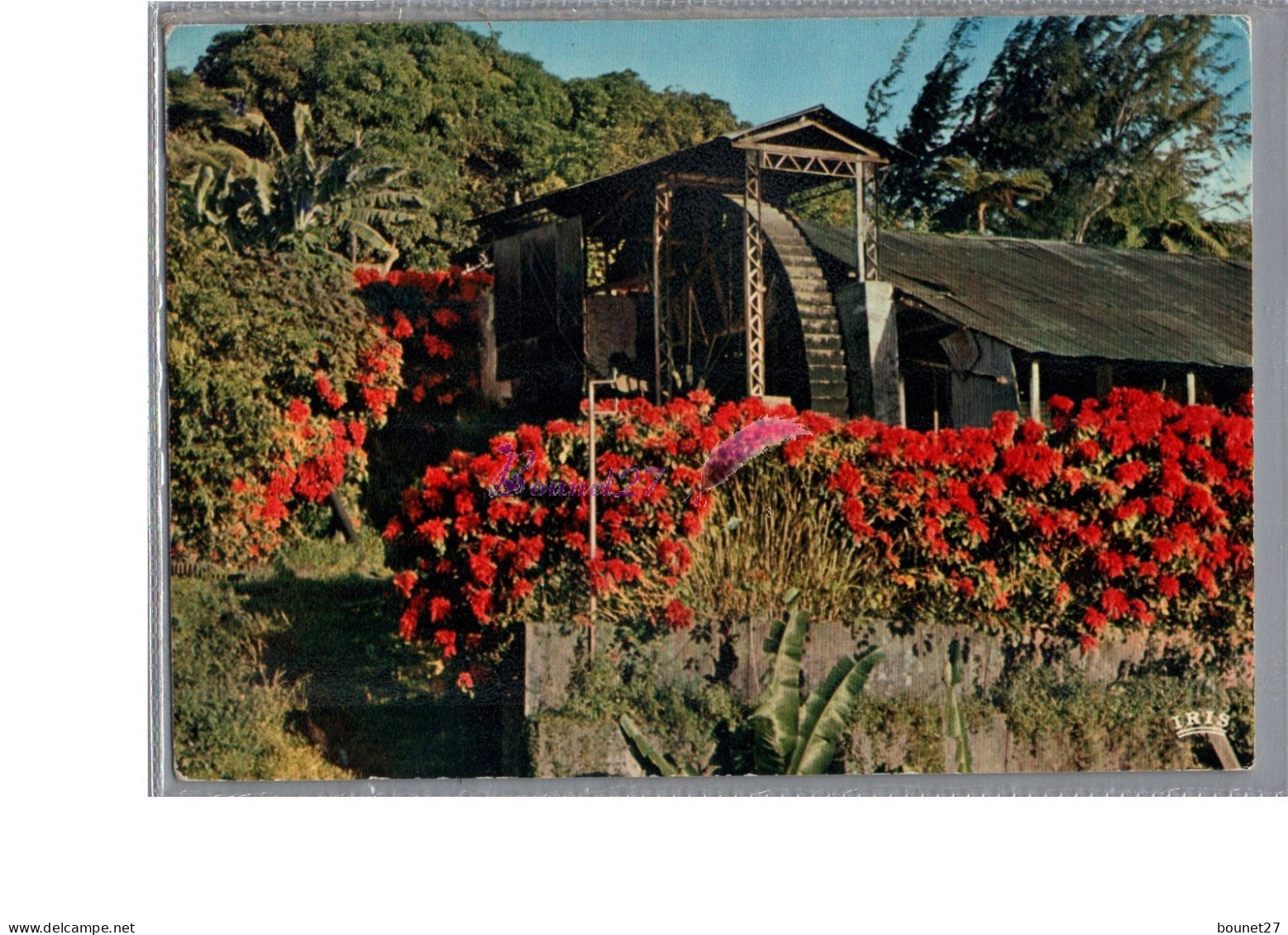 ANTILLES RADIEUSES - Le Vieu Moulin Moulin à Eau Fleur Rouge Nature 1975 - Other & Unclassified