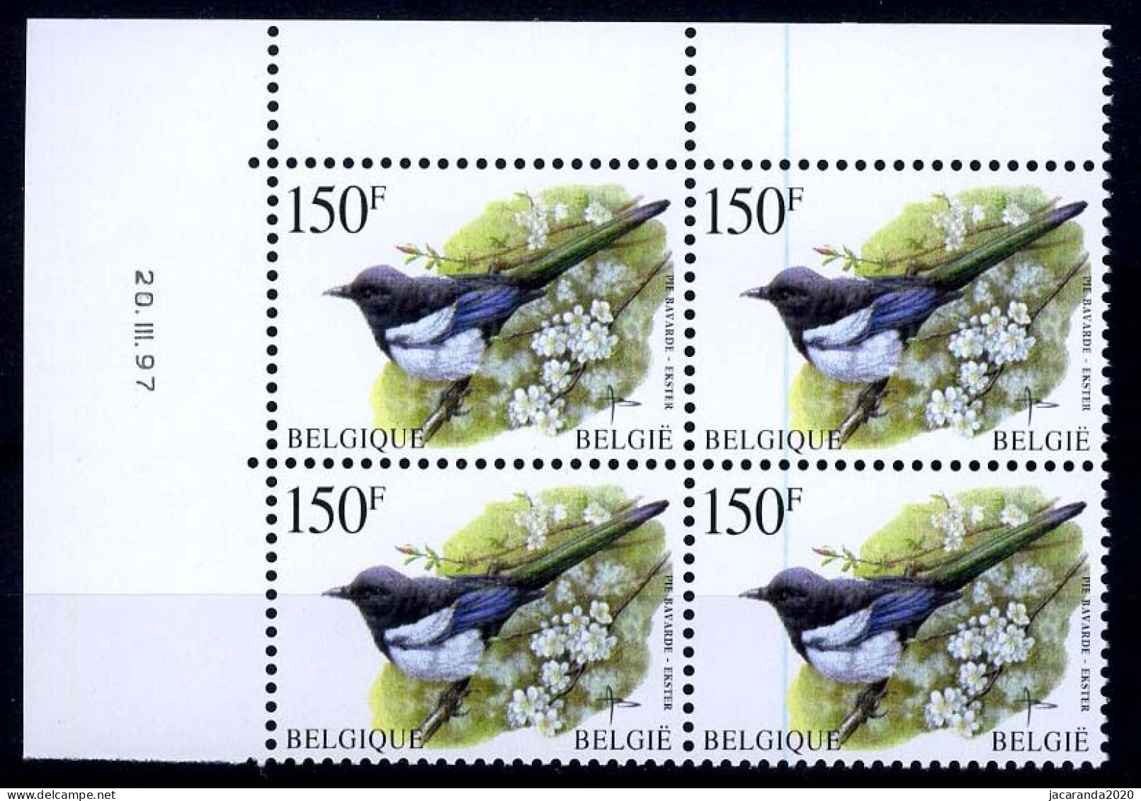 België 2697-Cu - Vogels - Buzin - Ekster - Pie Bavarde - Met HOEKDATUM En Blauwe RAKELSTREEP - SUP - 1985-.. Birds (Buzin)